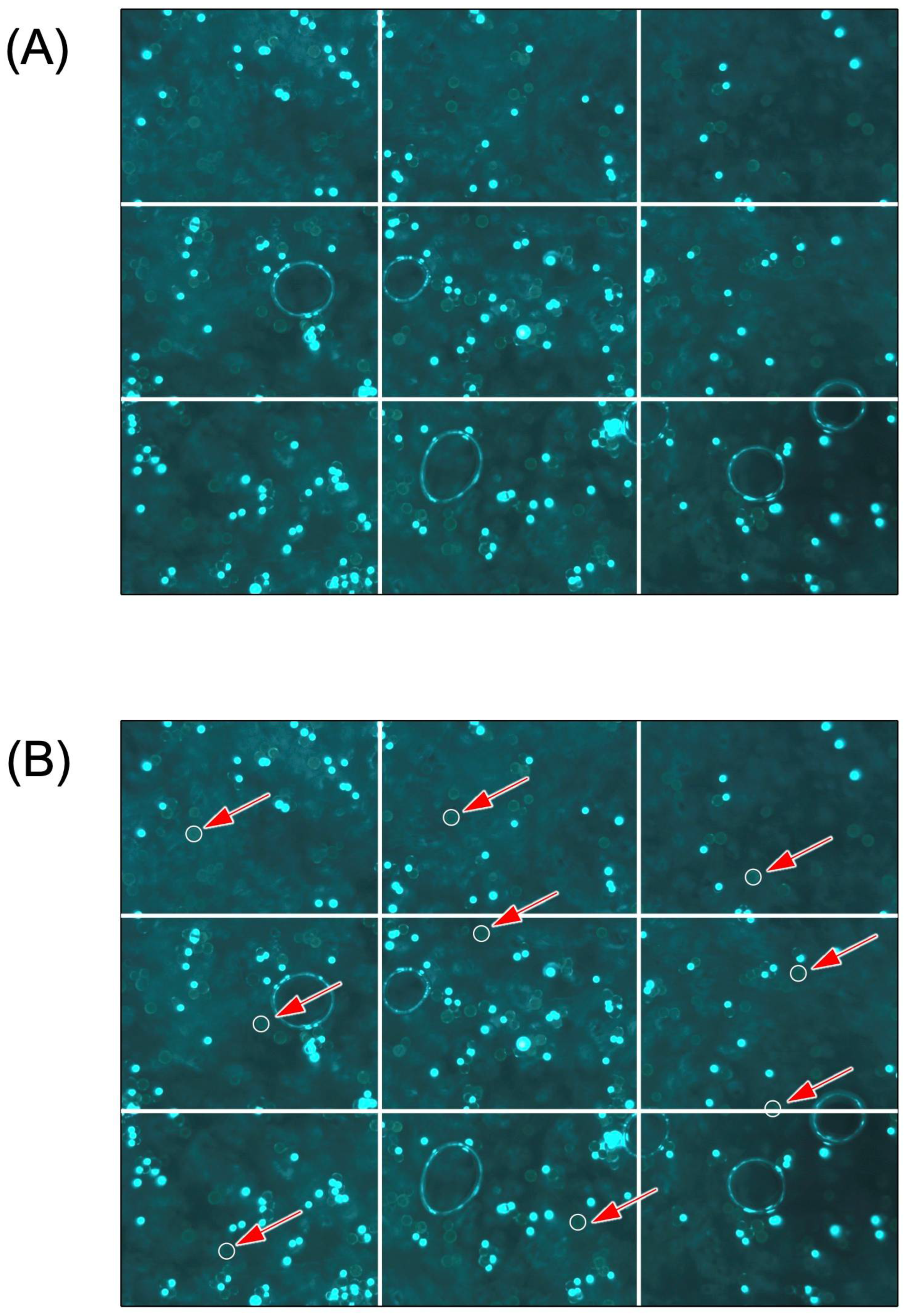 Sensors 22 03390 g001 550