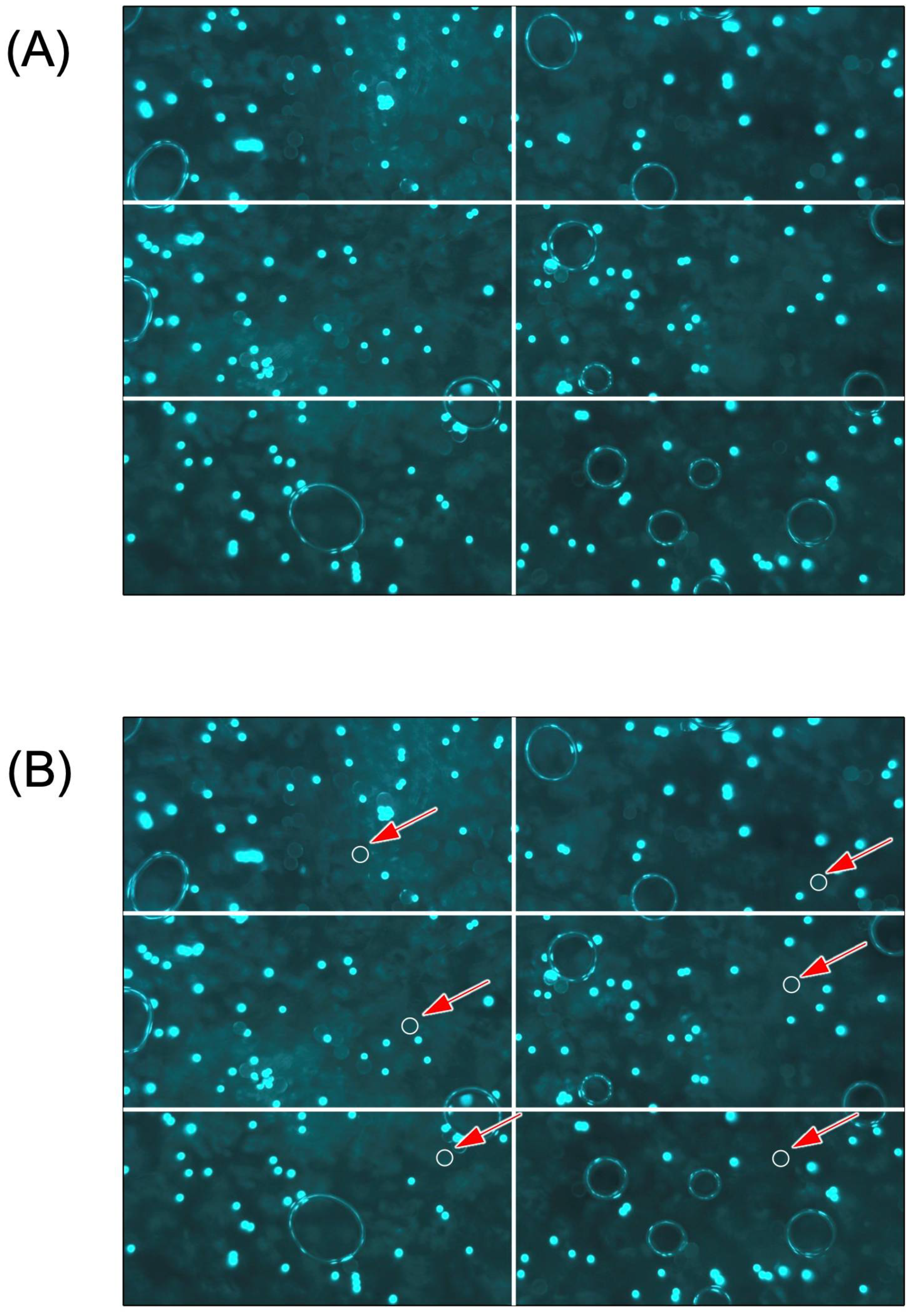 Sensors 22 03390 g002 550