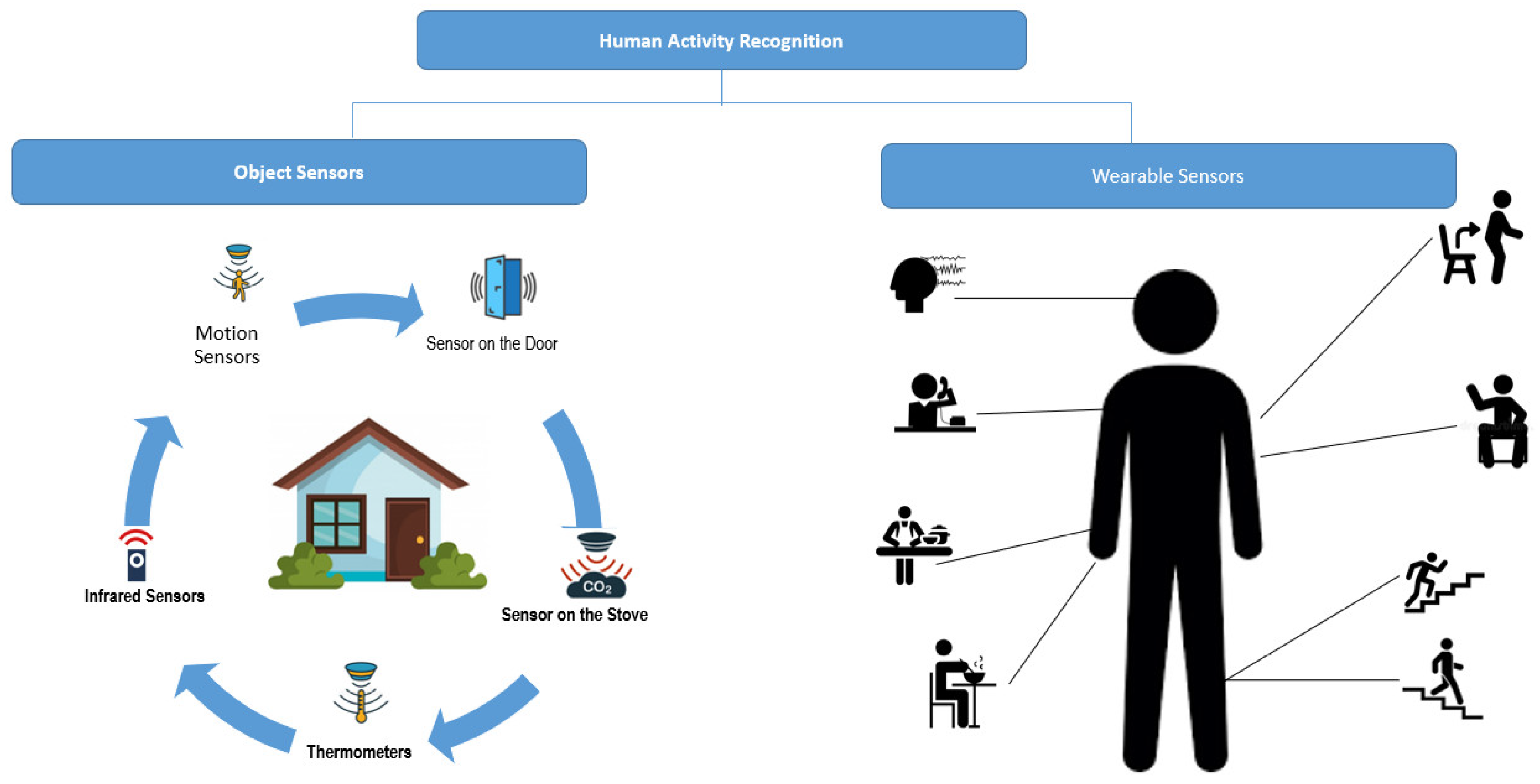 Active humans