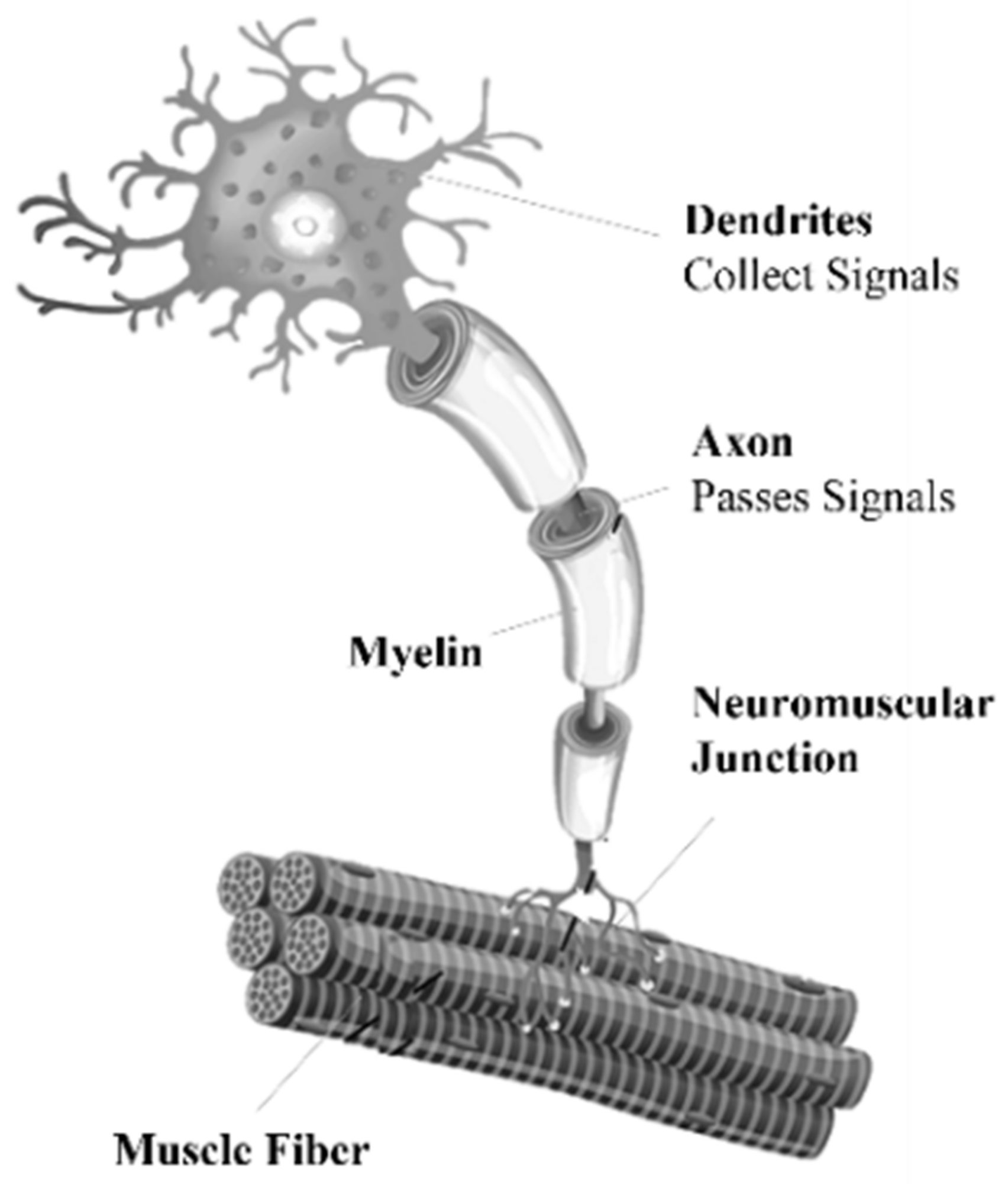 Sensors 22 03424 g001 550
