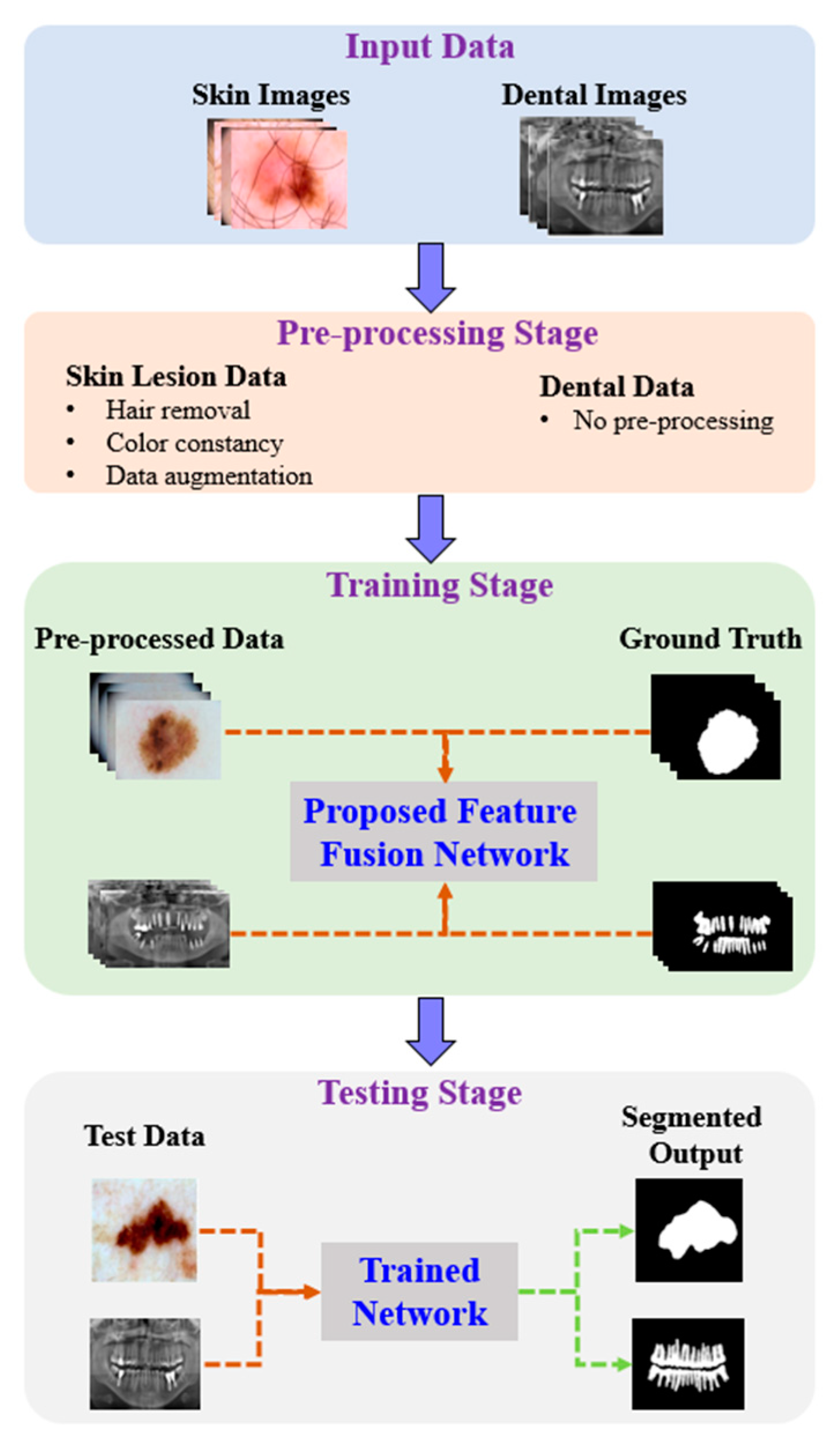 Multiscale and Hierarchical Feature-Aggregation Network for Segmenting ...