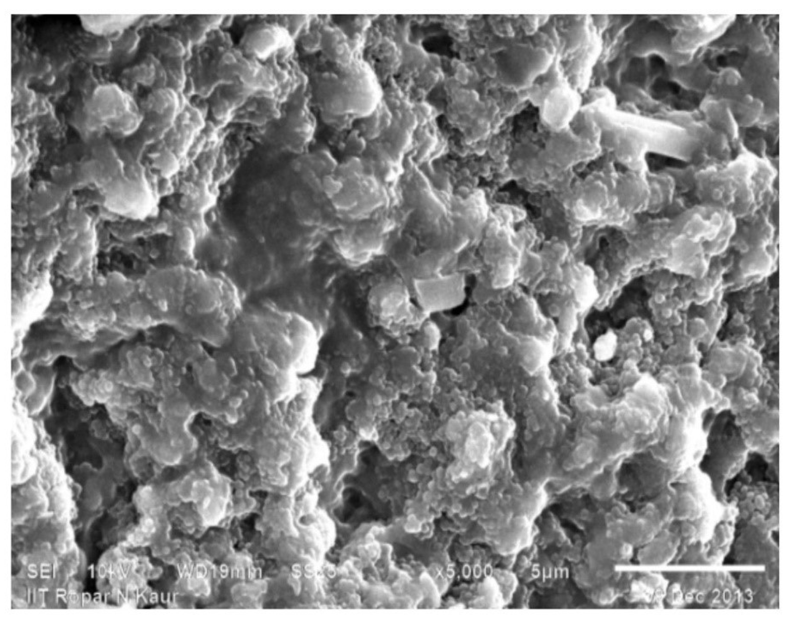 Sensors 22 03454 g004 Sensors 22 03454 g004