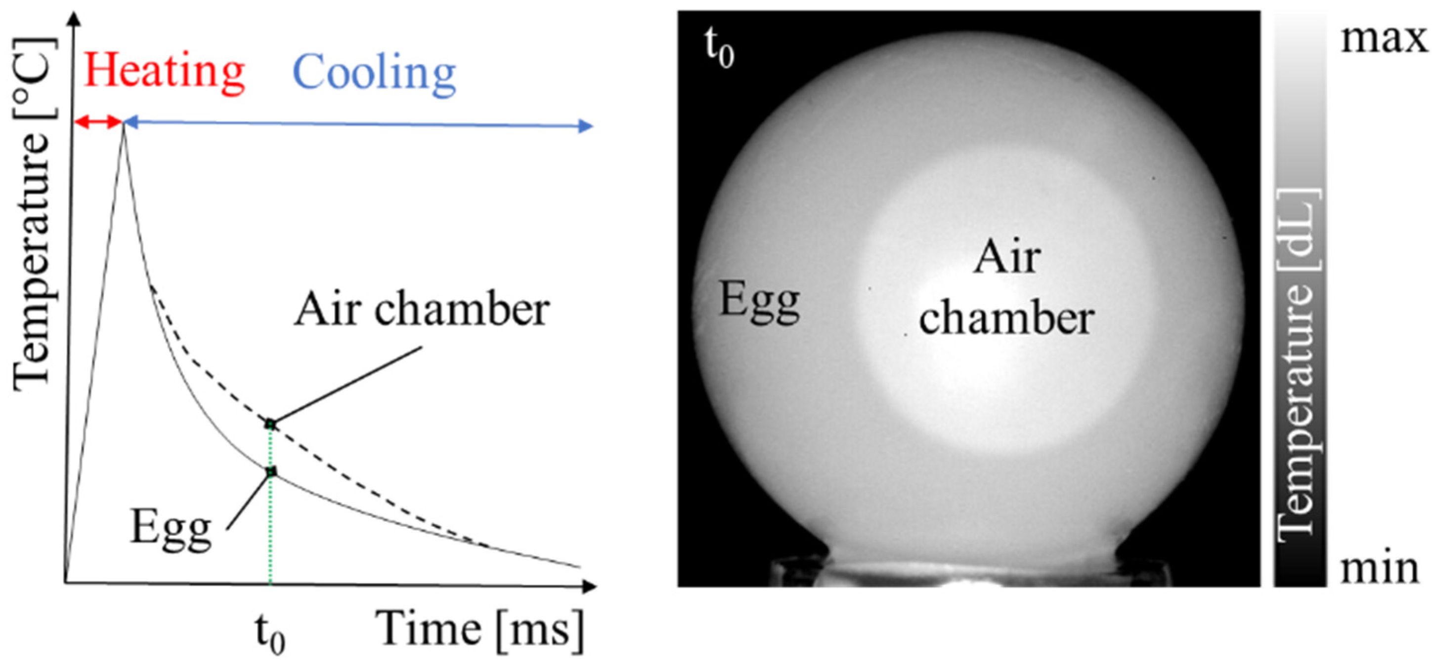 Sensors 22 03496 g003 550