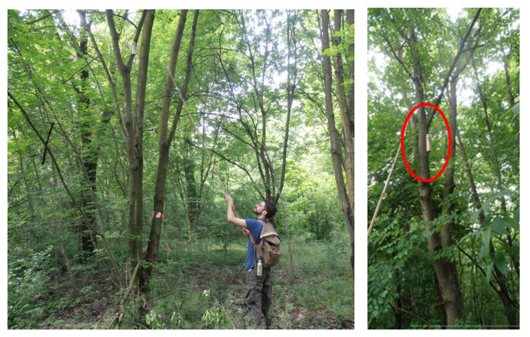 Sensors 22 03528 g005 550