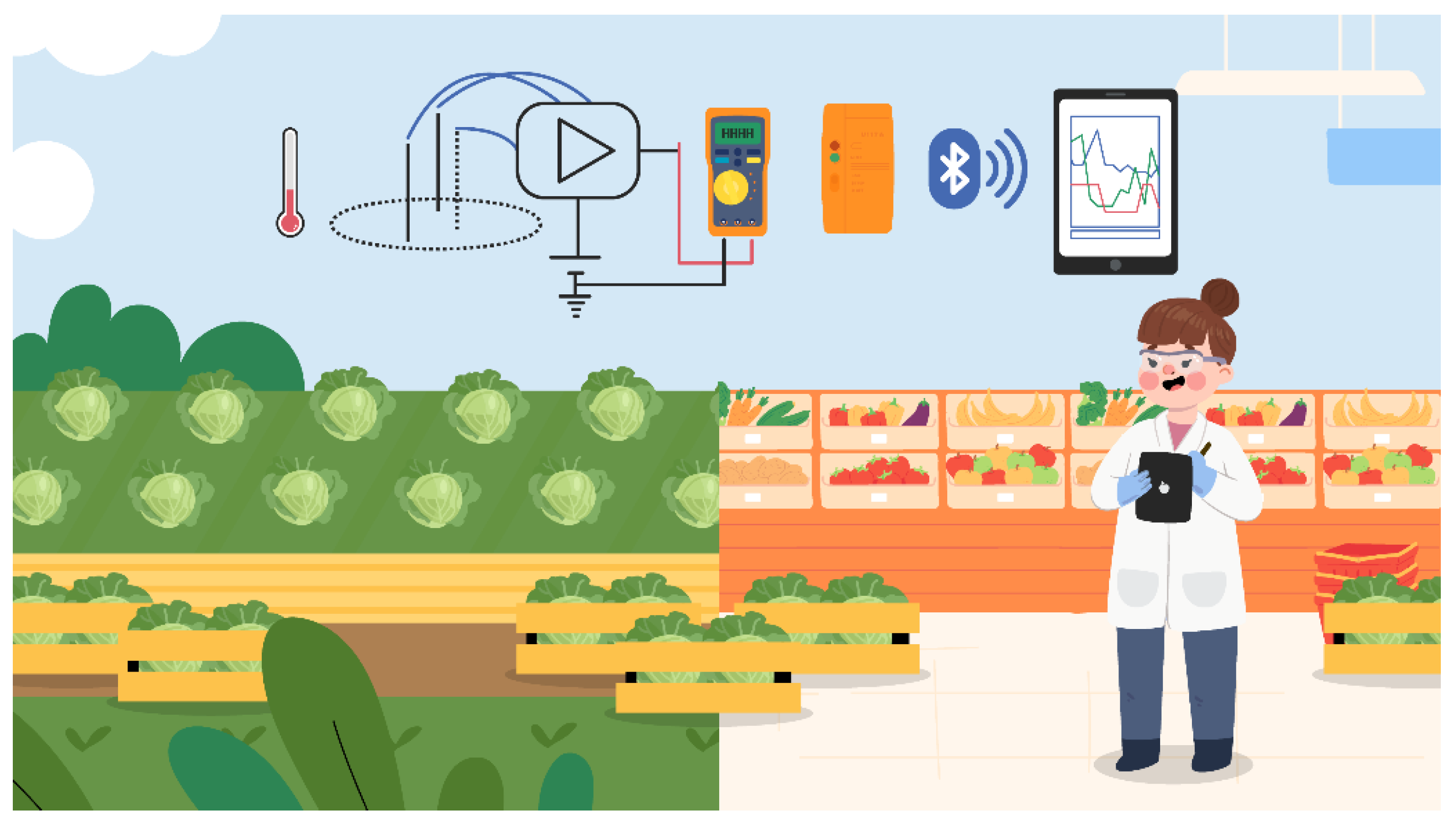 Sensors 22 03543 g007 550