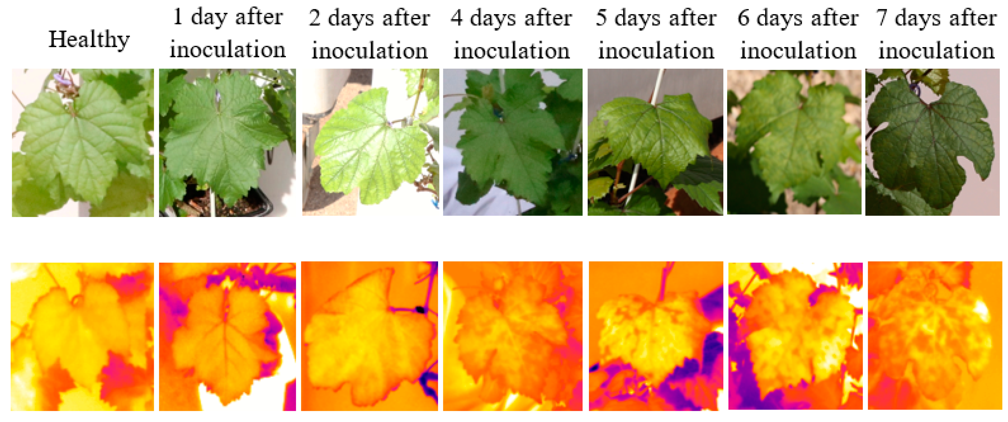 Sensors 22 03585 g002