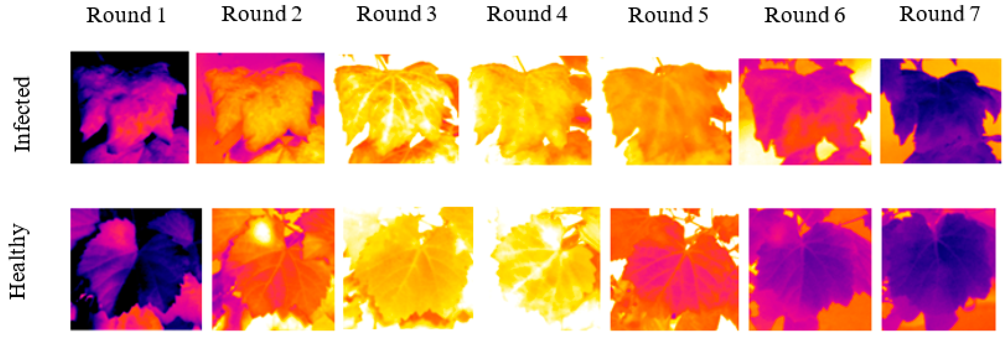 Sensors 22 03585 g006