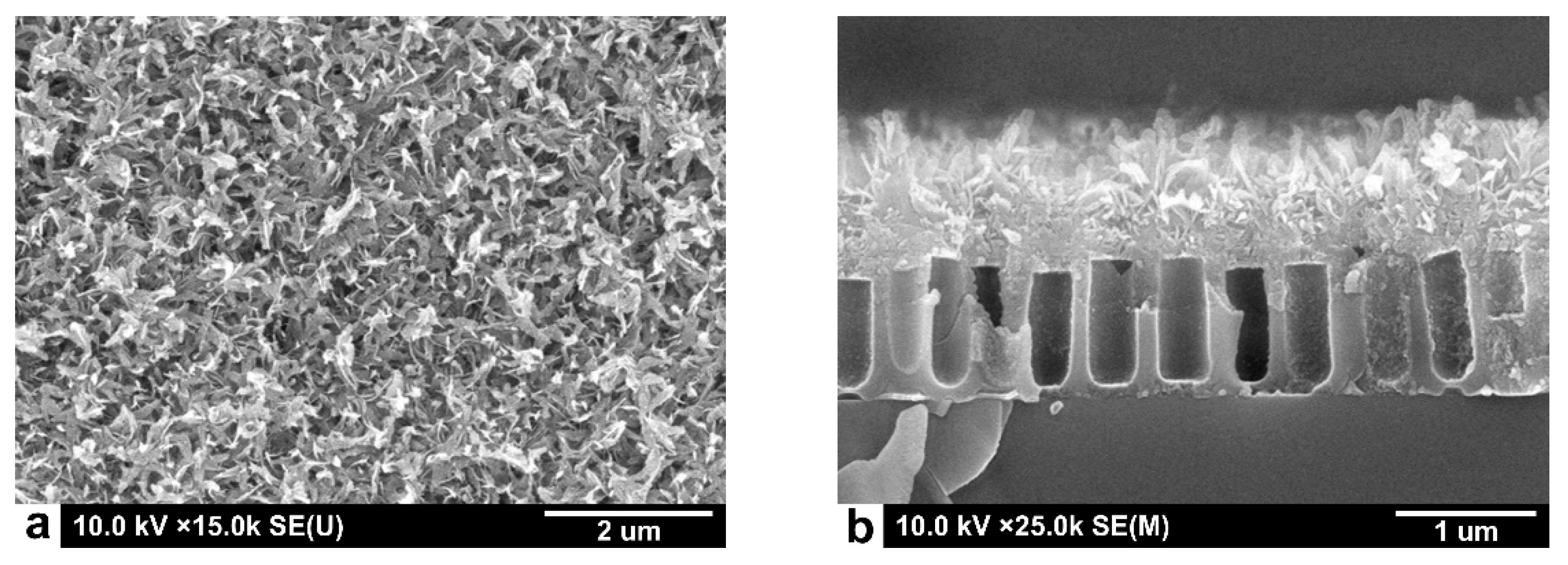 Sensors 22 03640 g005
