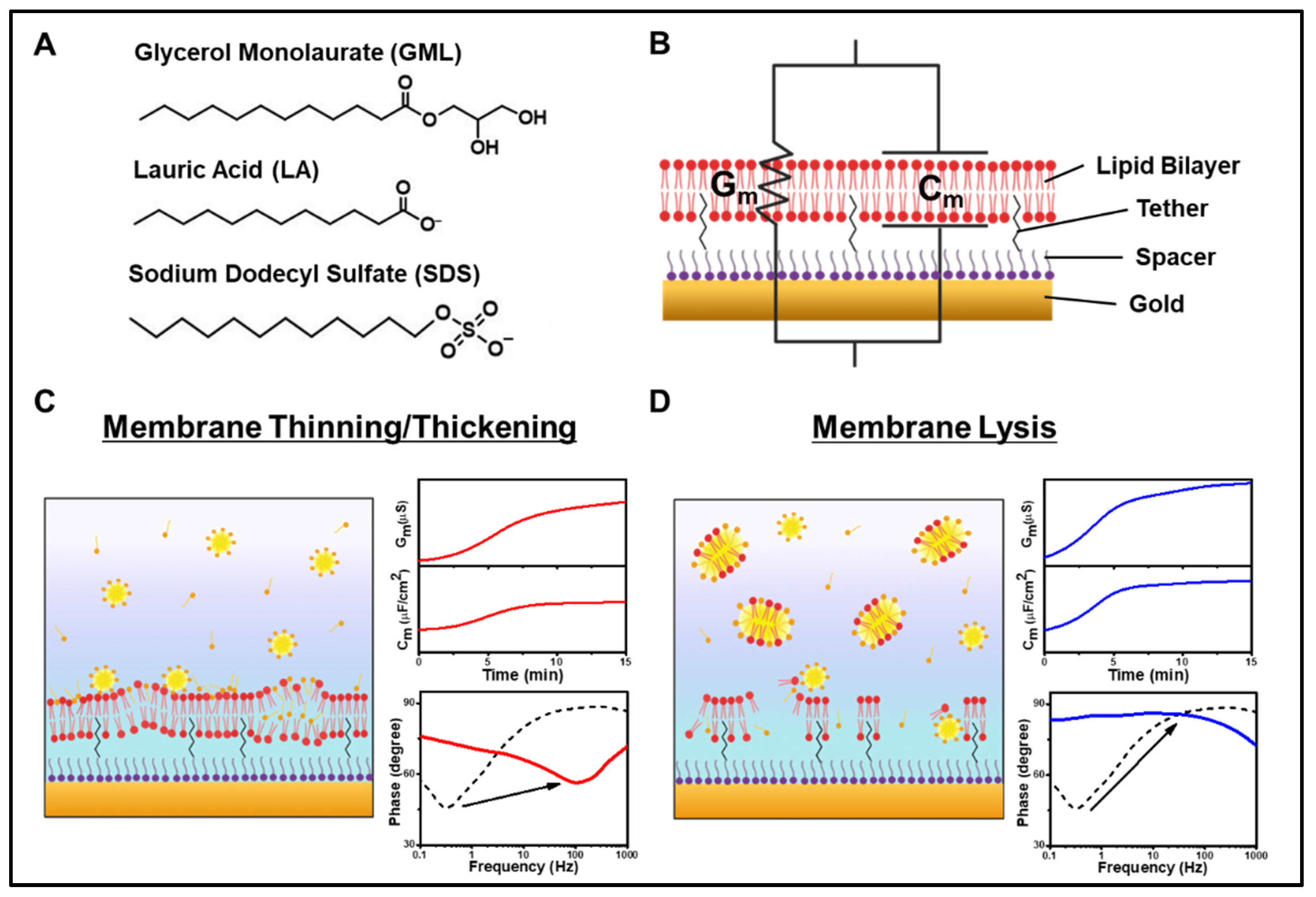 Sensors 22 03712 g001 Sensors 22 03712 g001