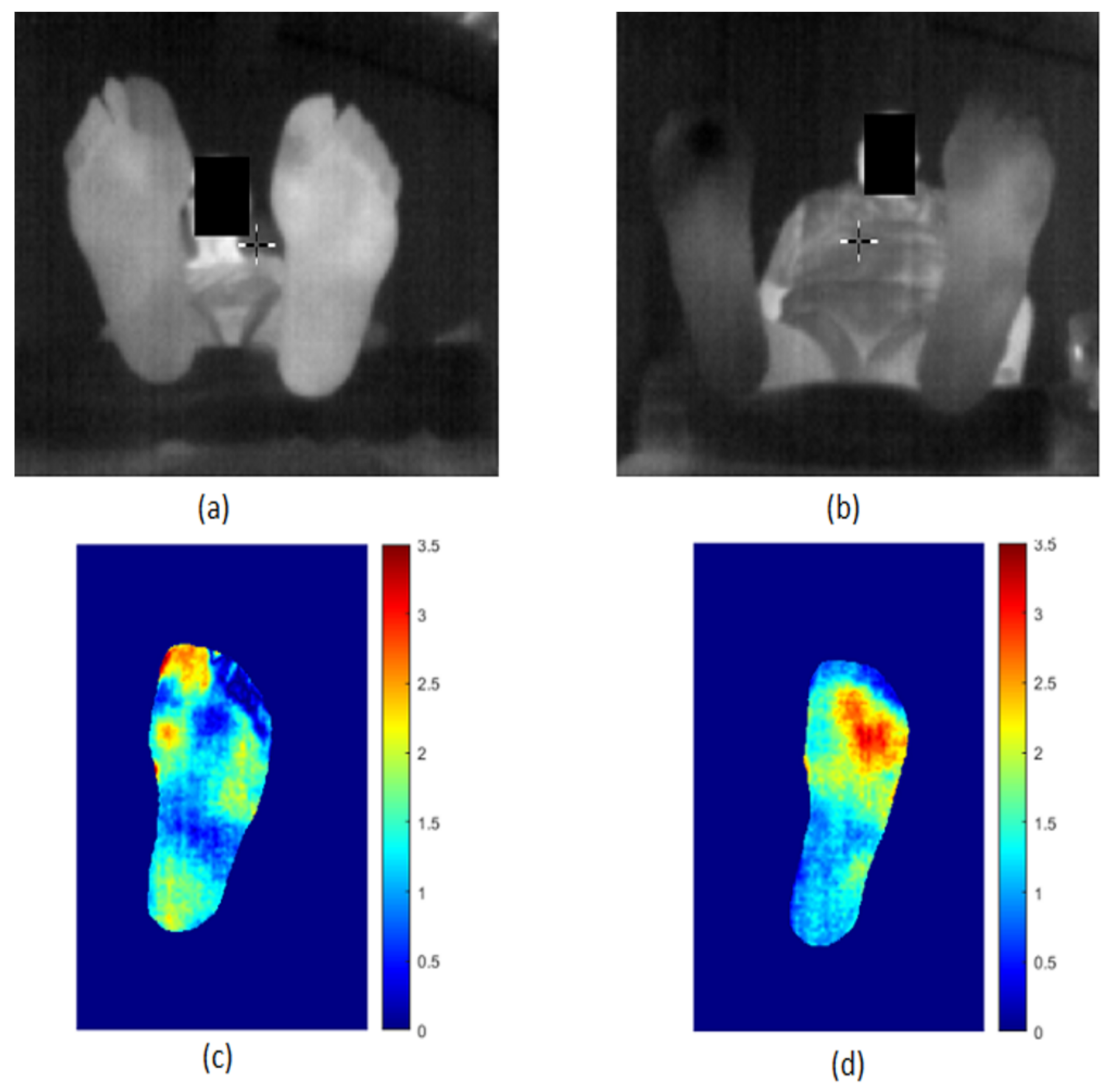 Sensors 22 03835 g009 550