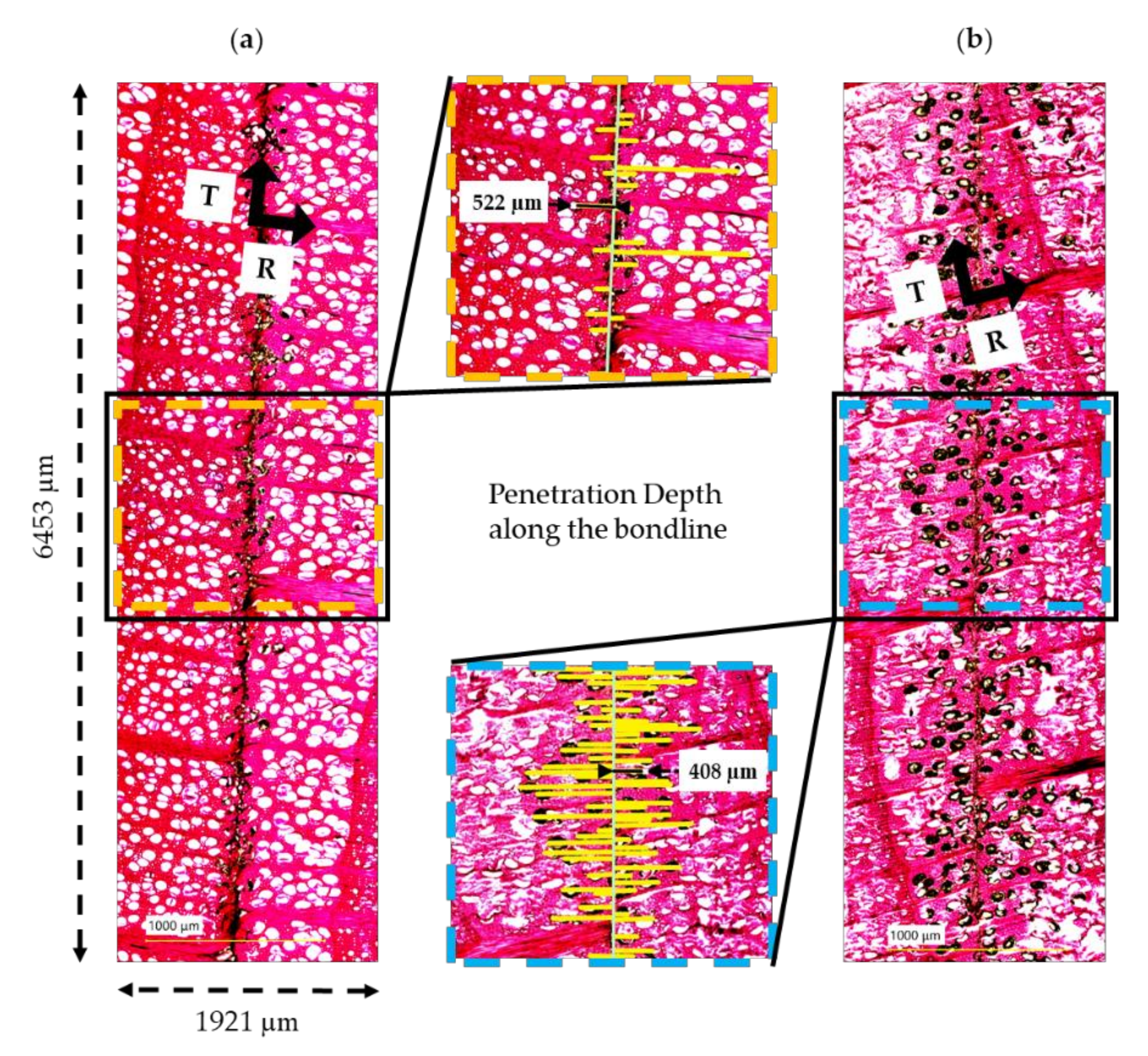 Sensors 22 03855 g005