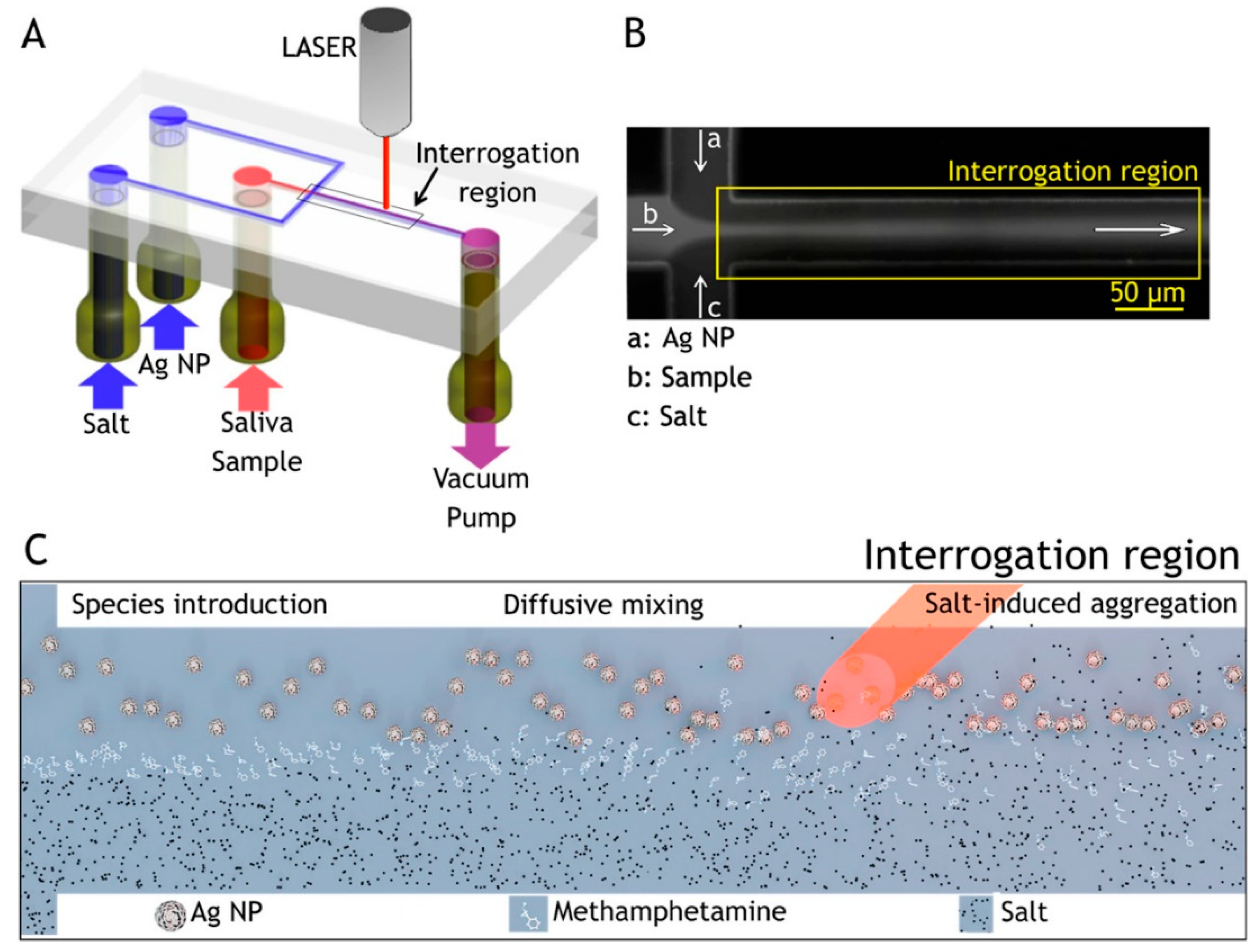 Sensors 22 03877 g005