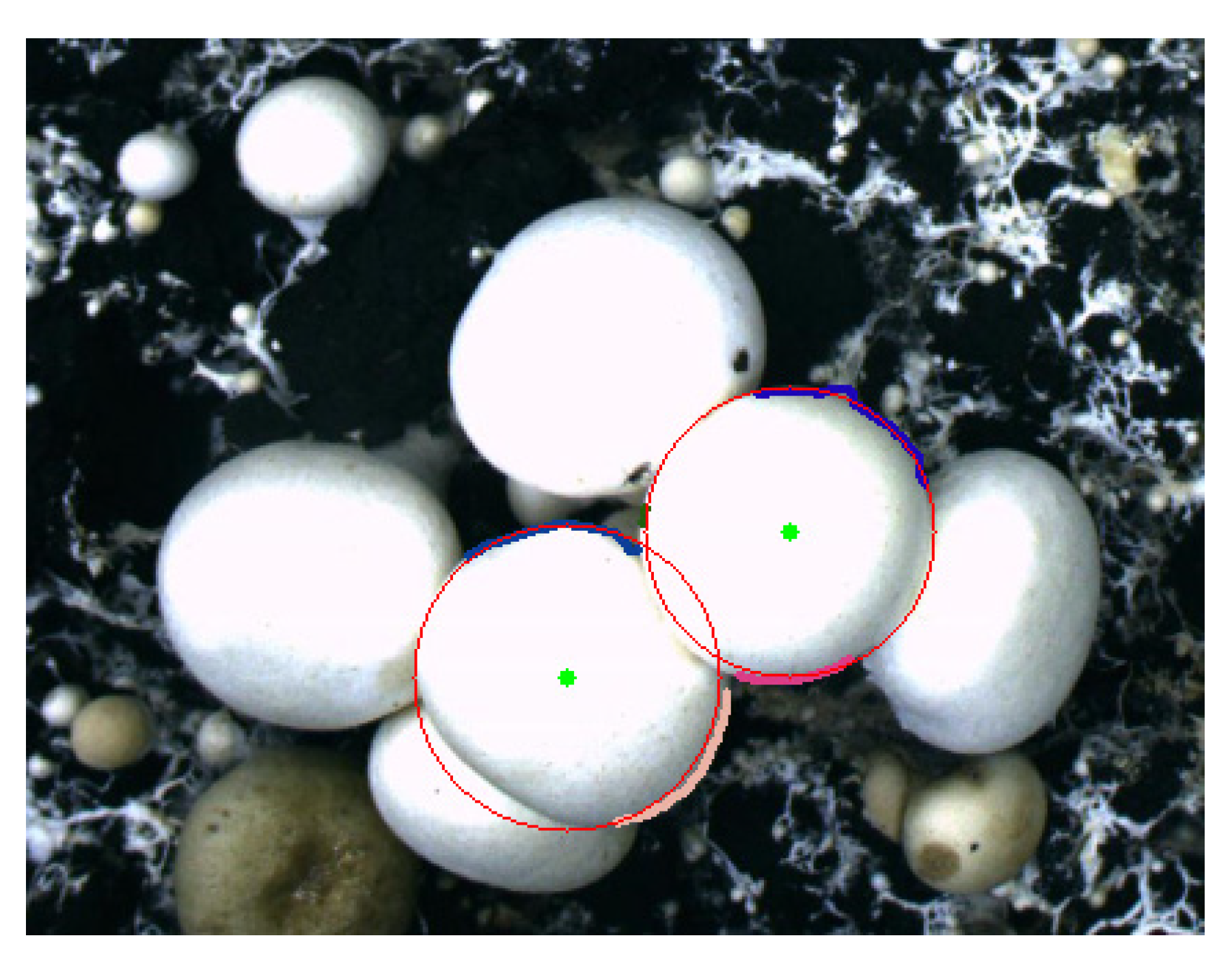 Sensors 22 03946 g015