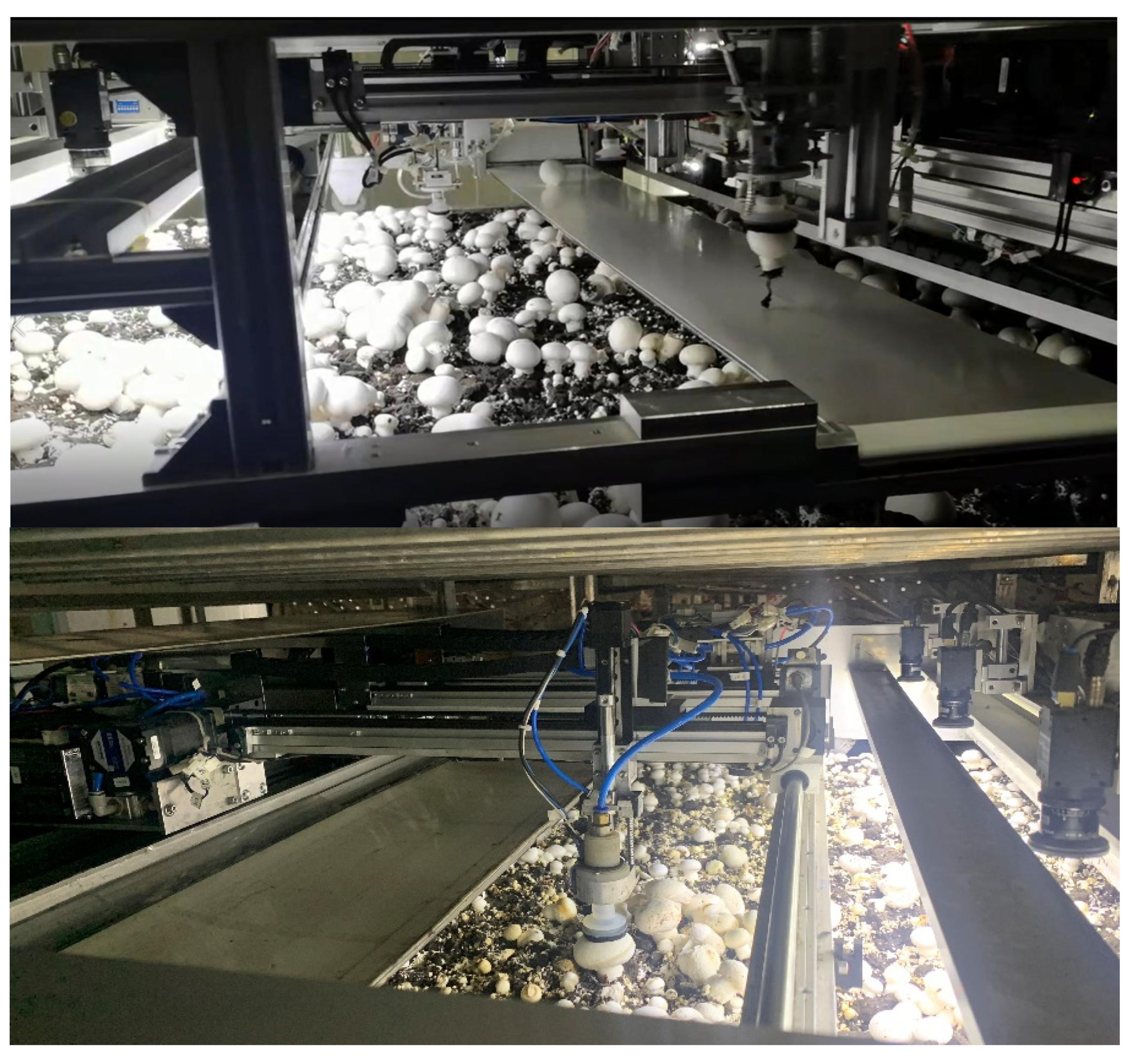 Sensors 22 03946 g017