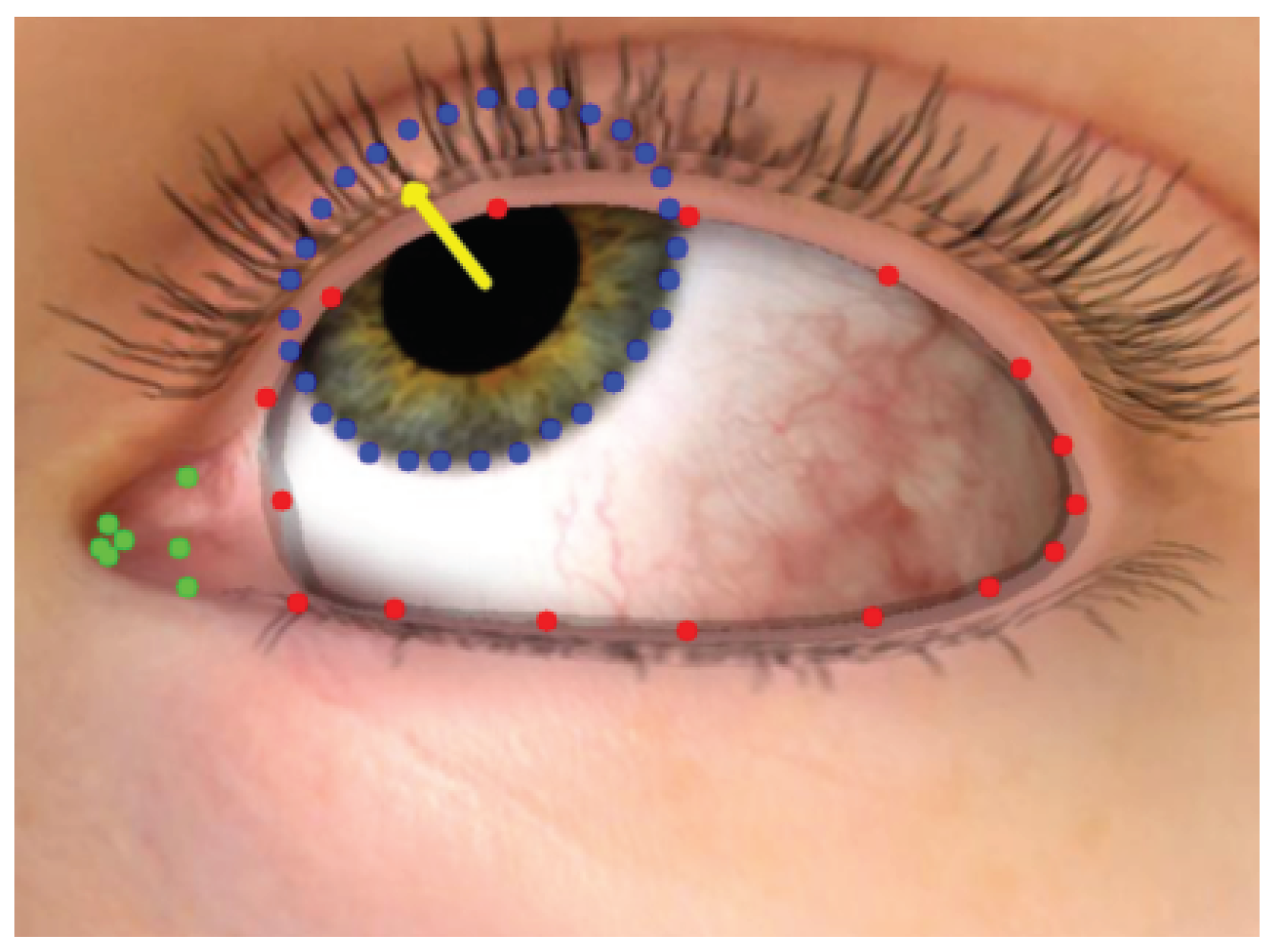 Sensors 22 04026 g008 550