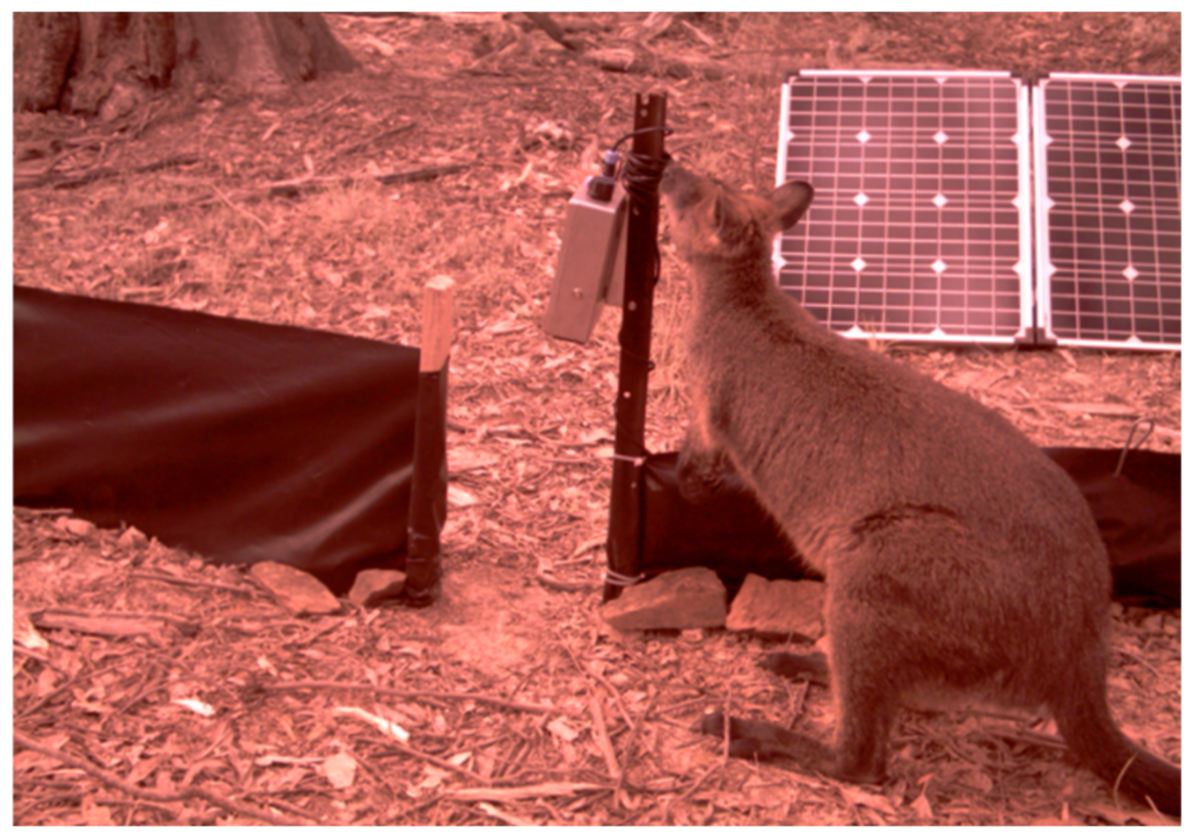 Sensors 22 04094 g007