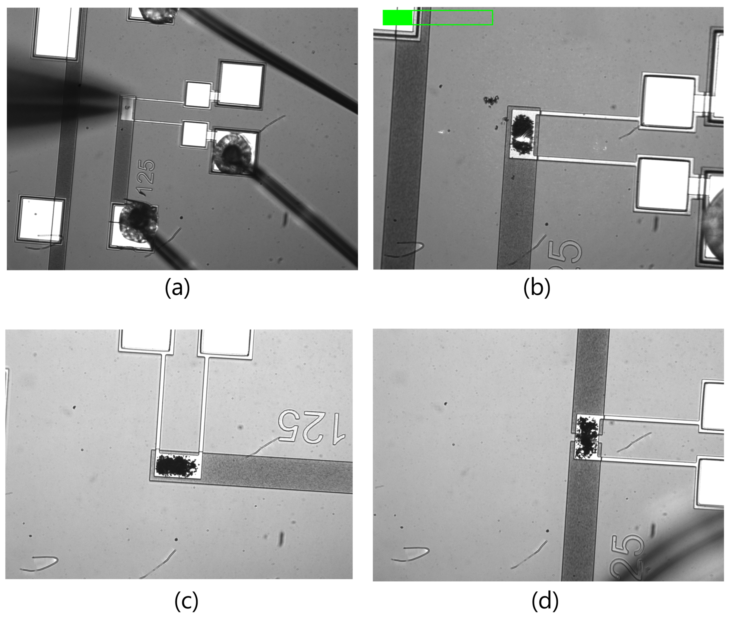 Sensors 22 04102 g010 550