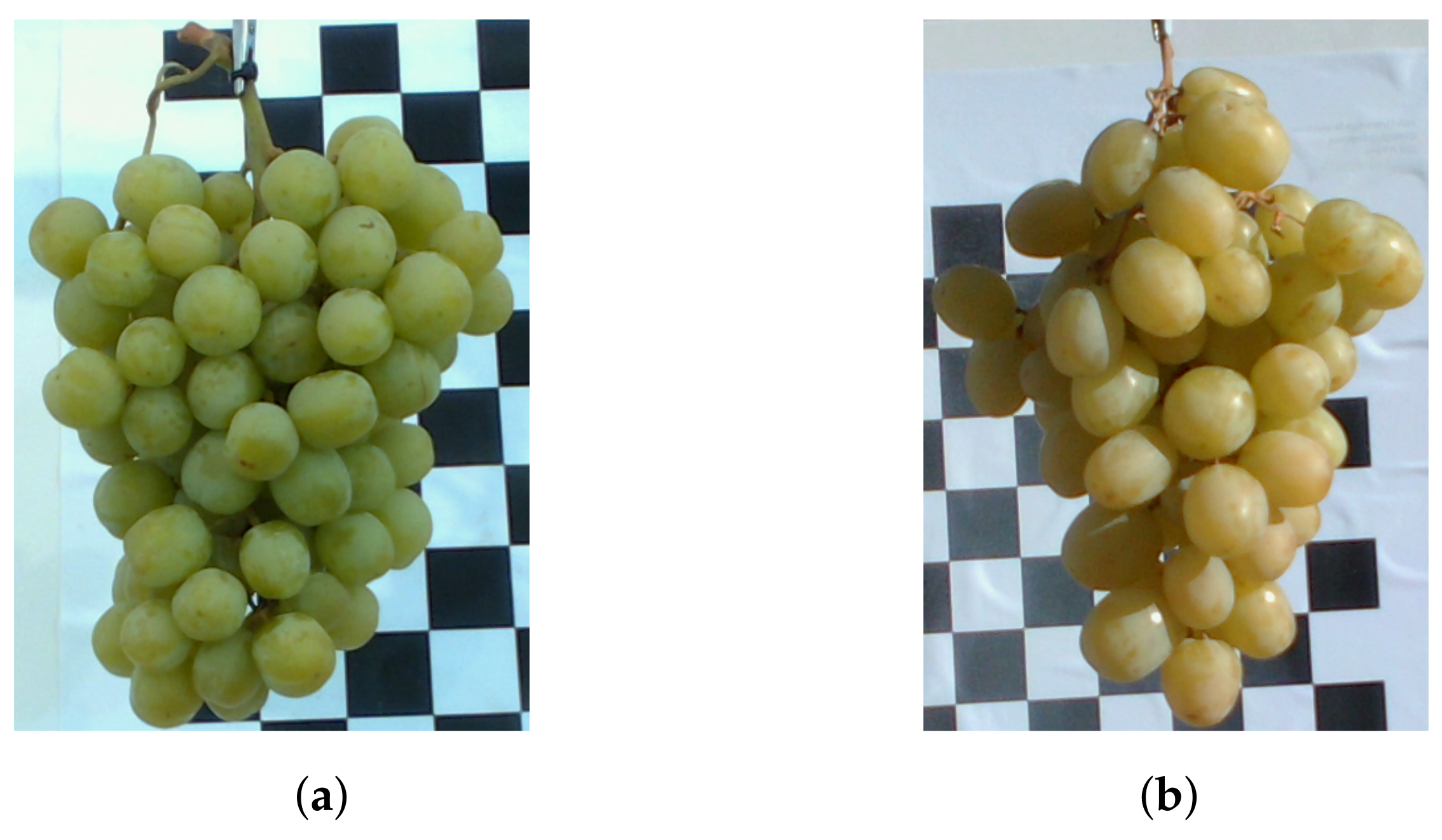 Sensors 22 04179 g003 550