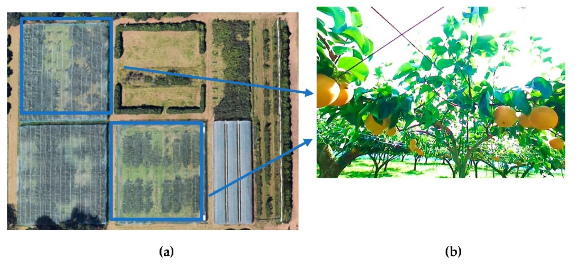 Sensors 22 04187 g001 550