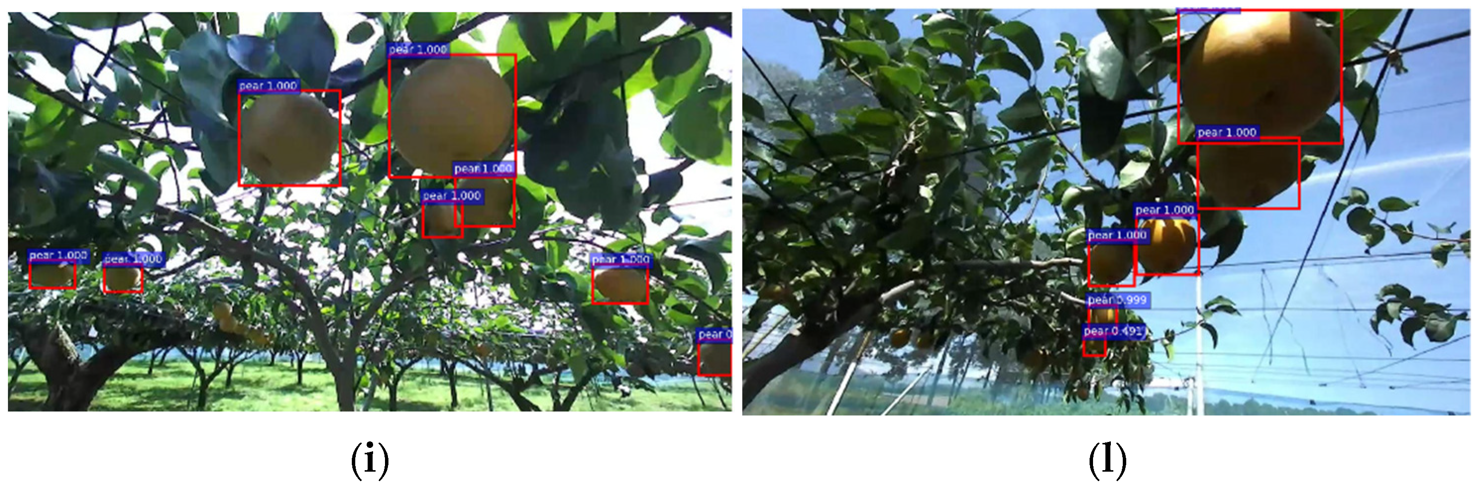 Sensors 22 04187 g013b 550