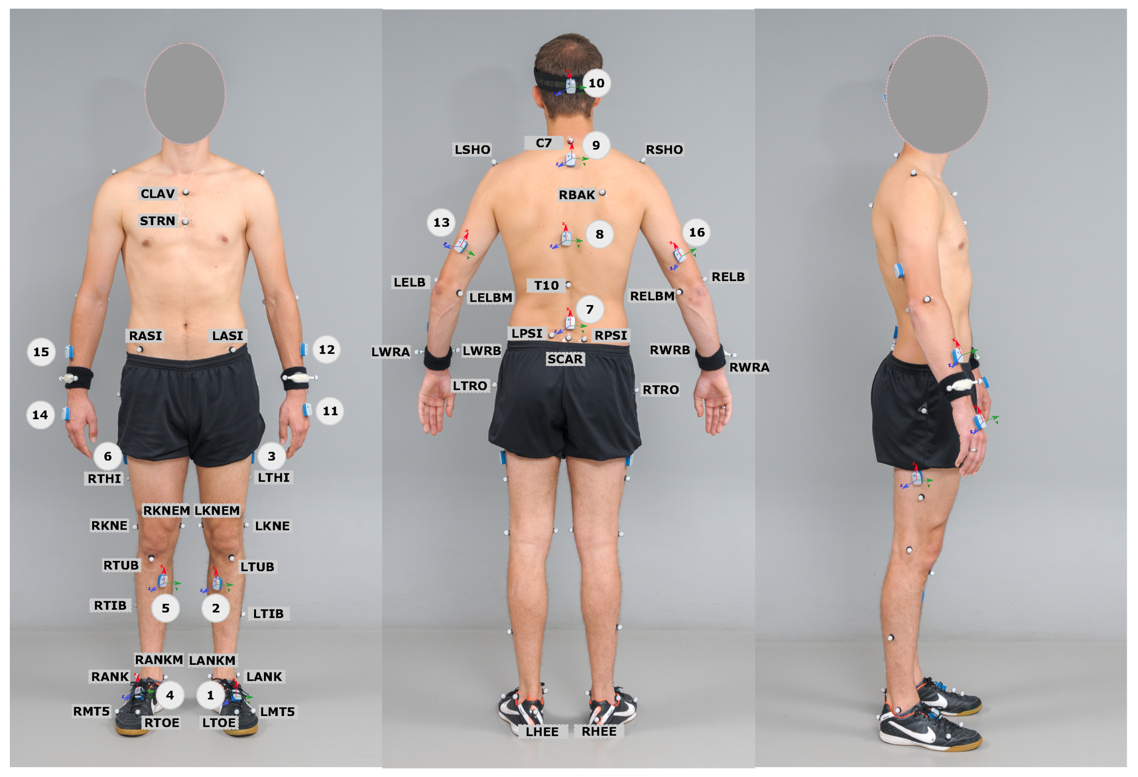 Sensors 22 04237 g001