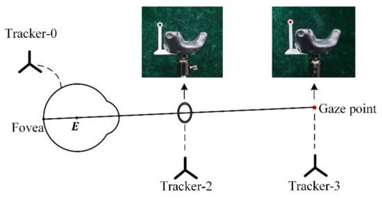 High-Accuracy 3D Gaze Estimation with Efficient Recalibration for Head ...