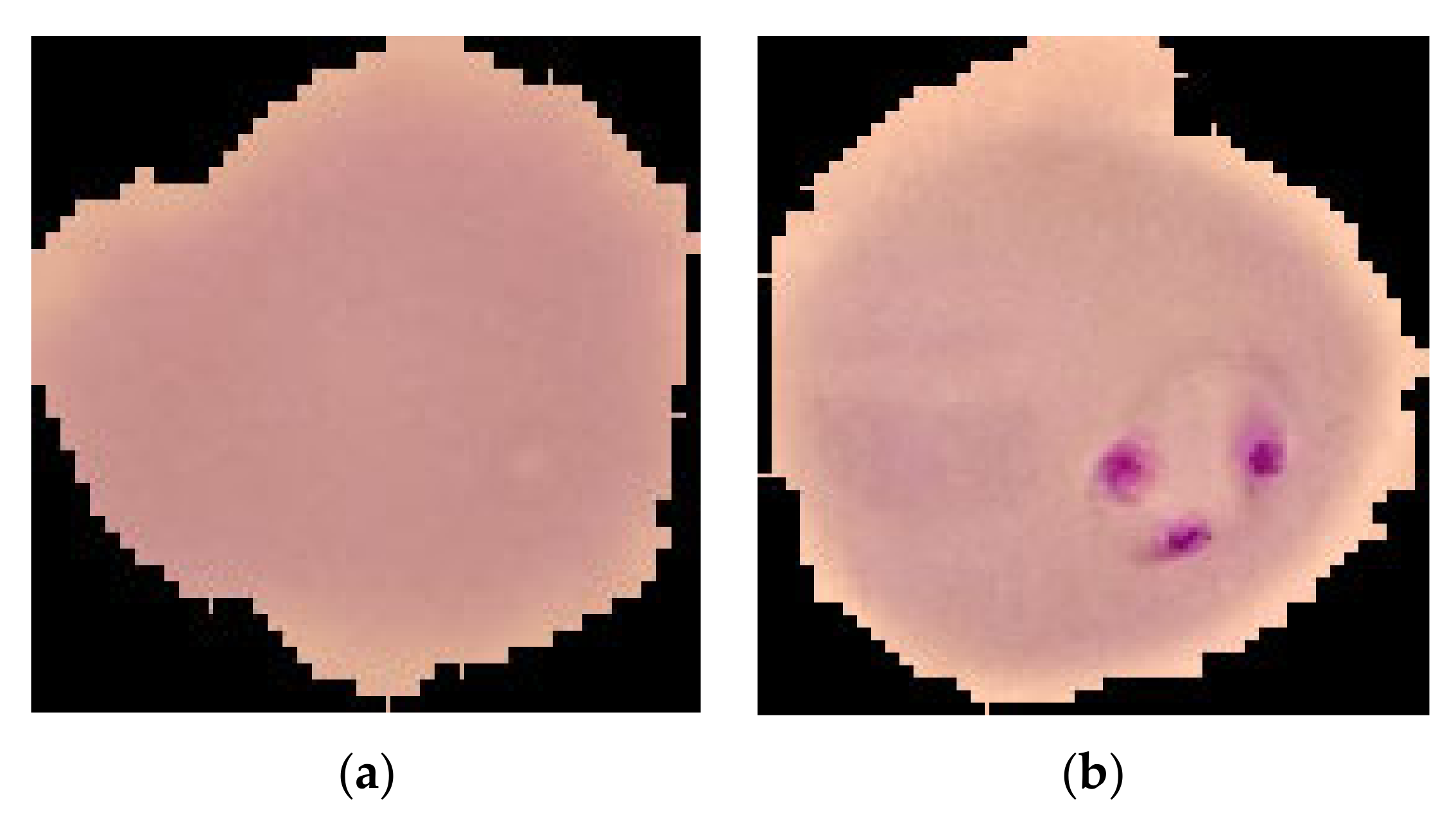 Sensors 22 04358 g001 550