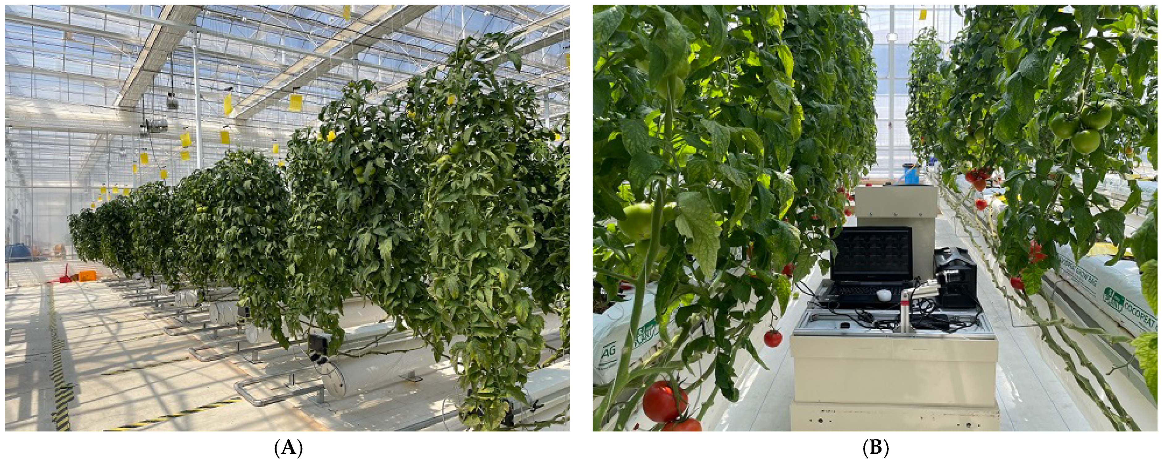 Sensors 22 04378 g004 550