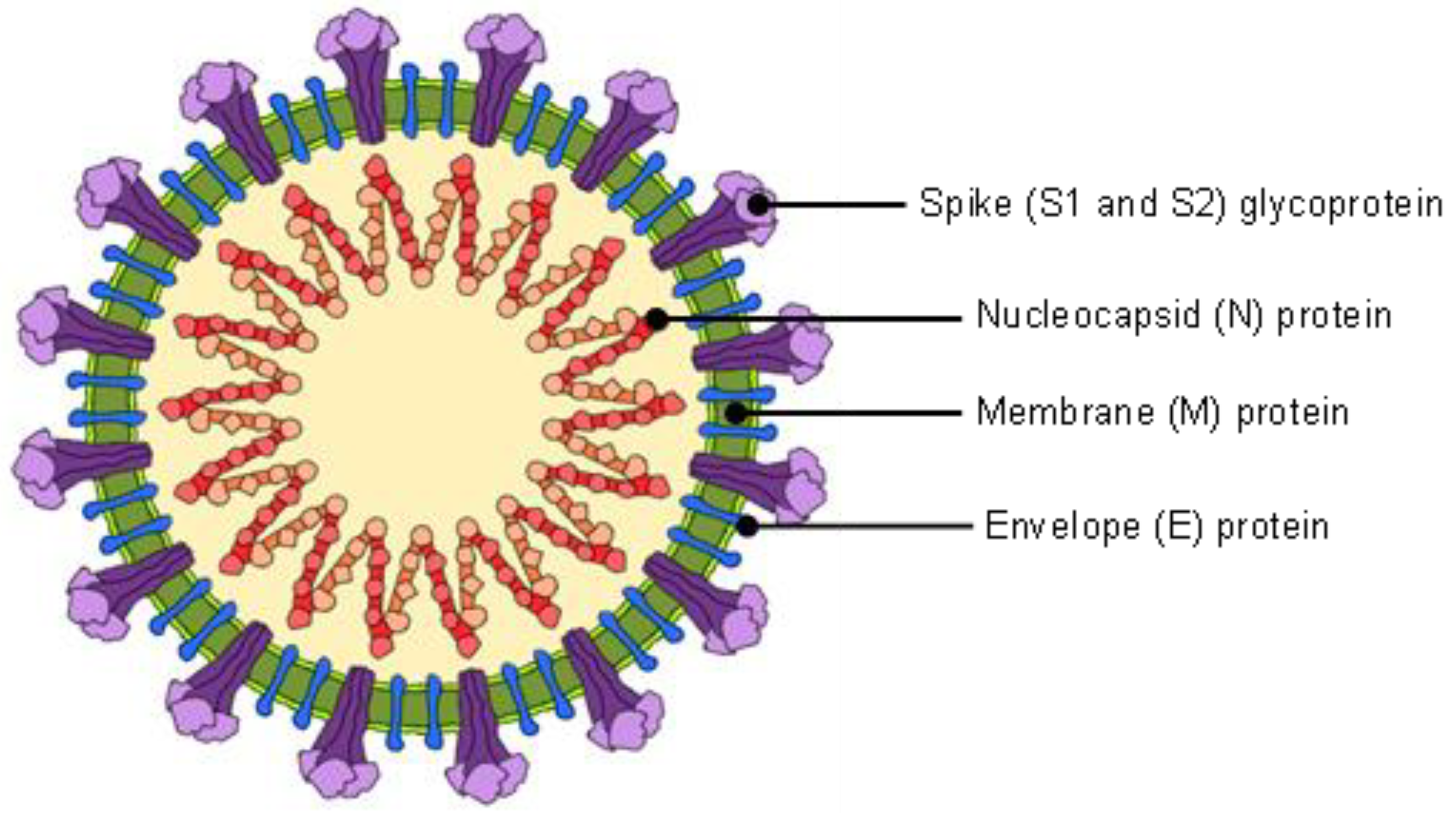 Sensors 22 04391 g001 550