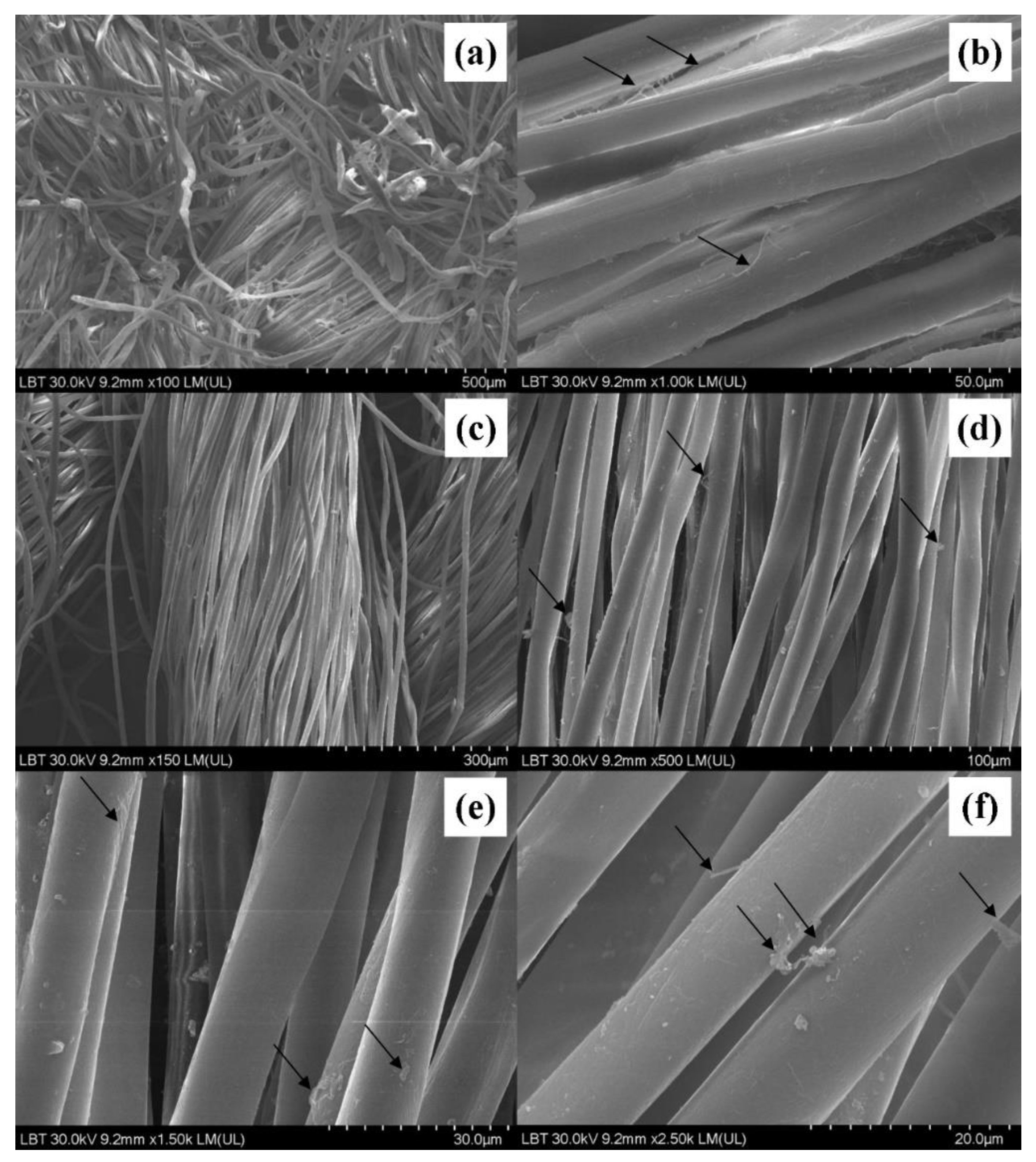 Sensors 22 04442 g003