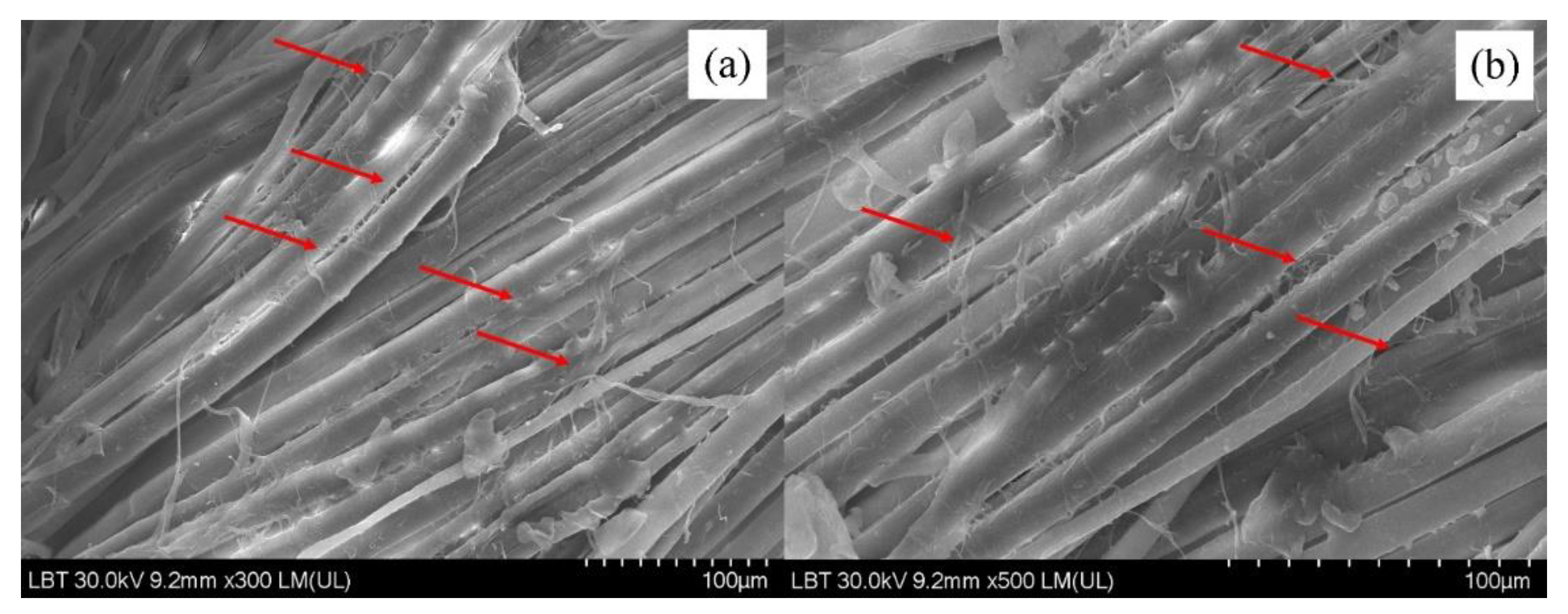 Sensors 22 04442 g004