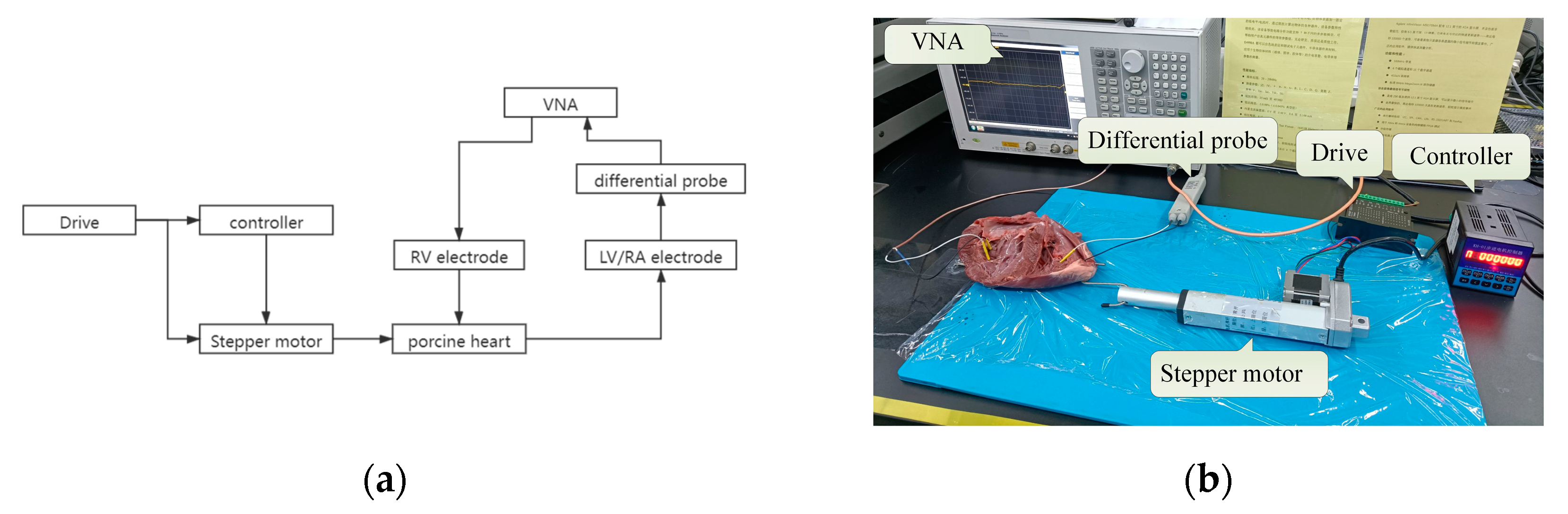 Sensors 22 04455 g005 550
