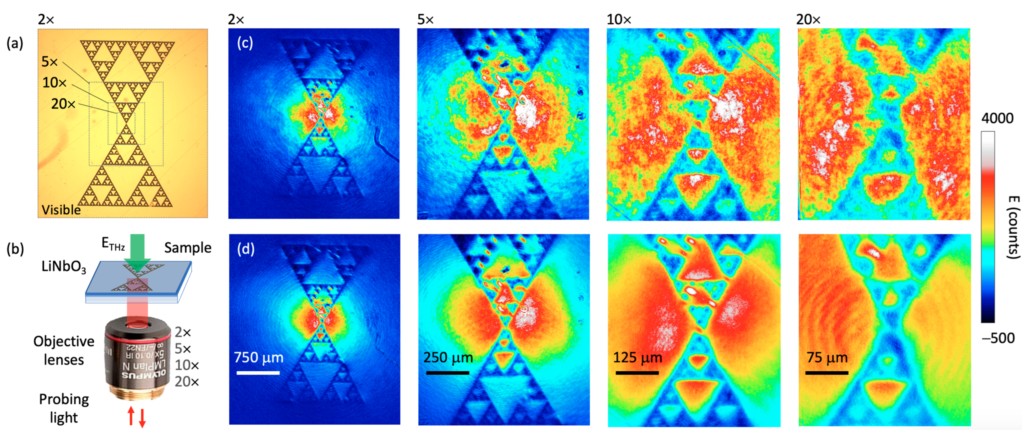 Sensors 22 04482 g004 550
