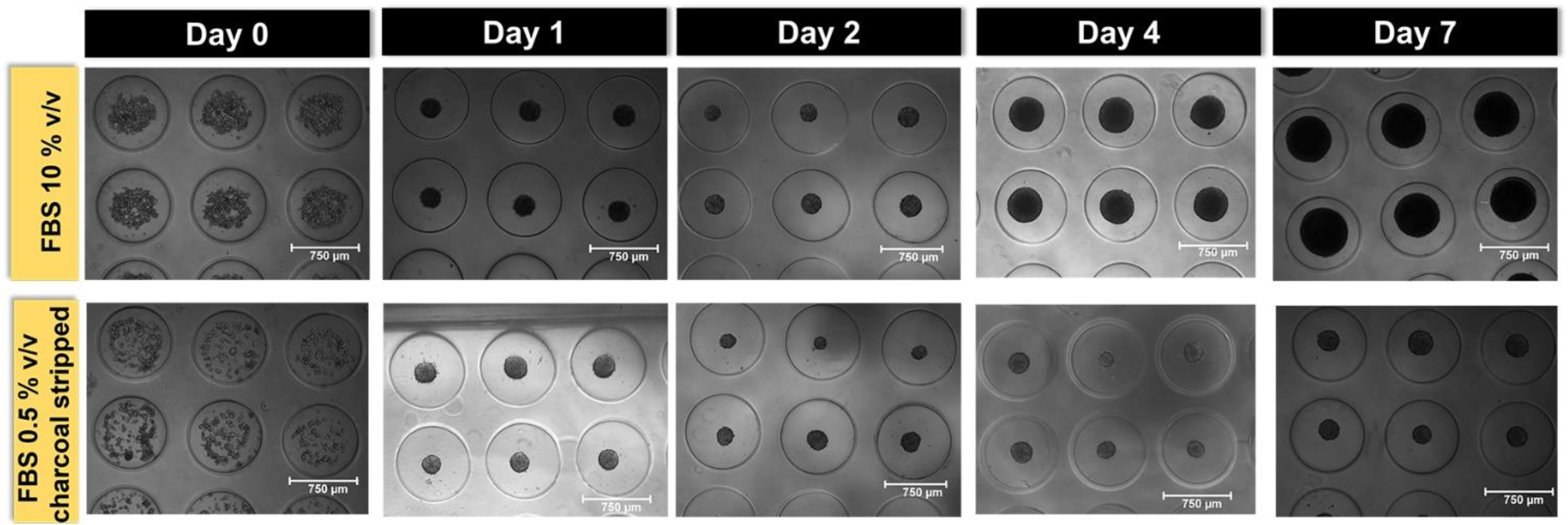 Sensors 22 04568 g003 550