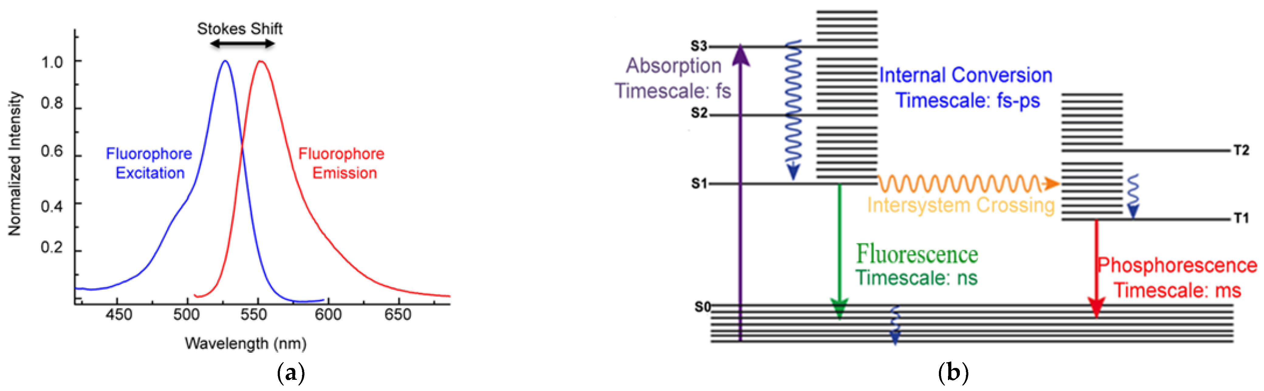Sensors 22 04668 g002