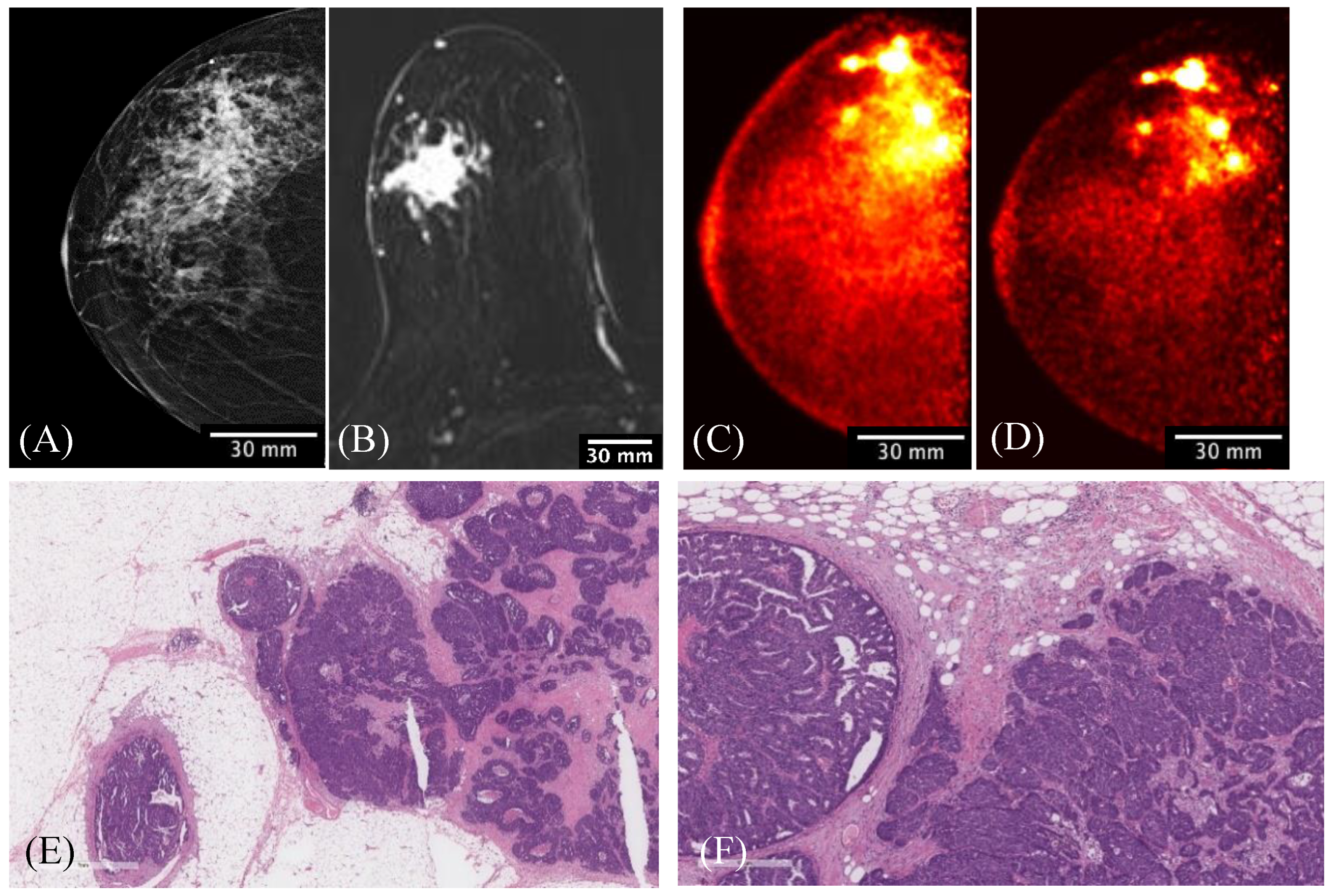 Sensors 22 04678 g011 Sensors 22 04678 g011
