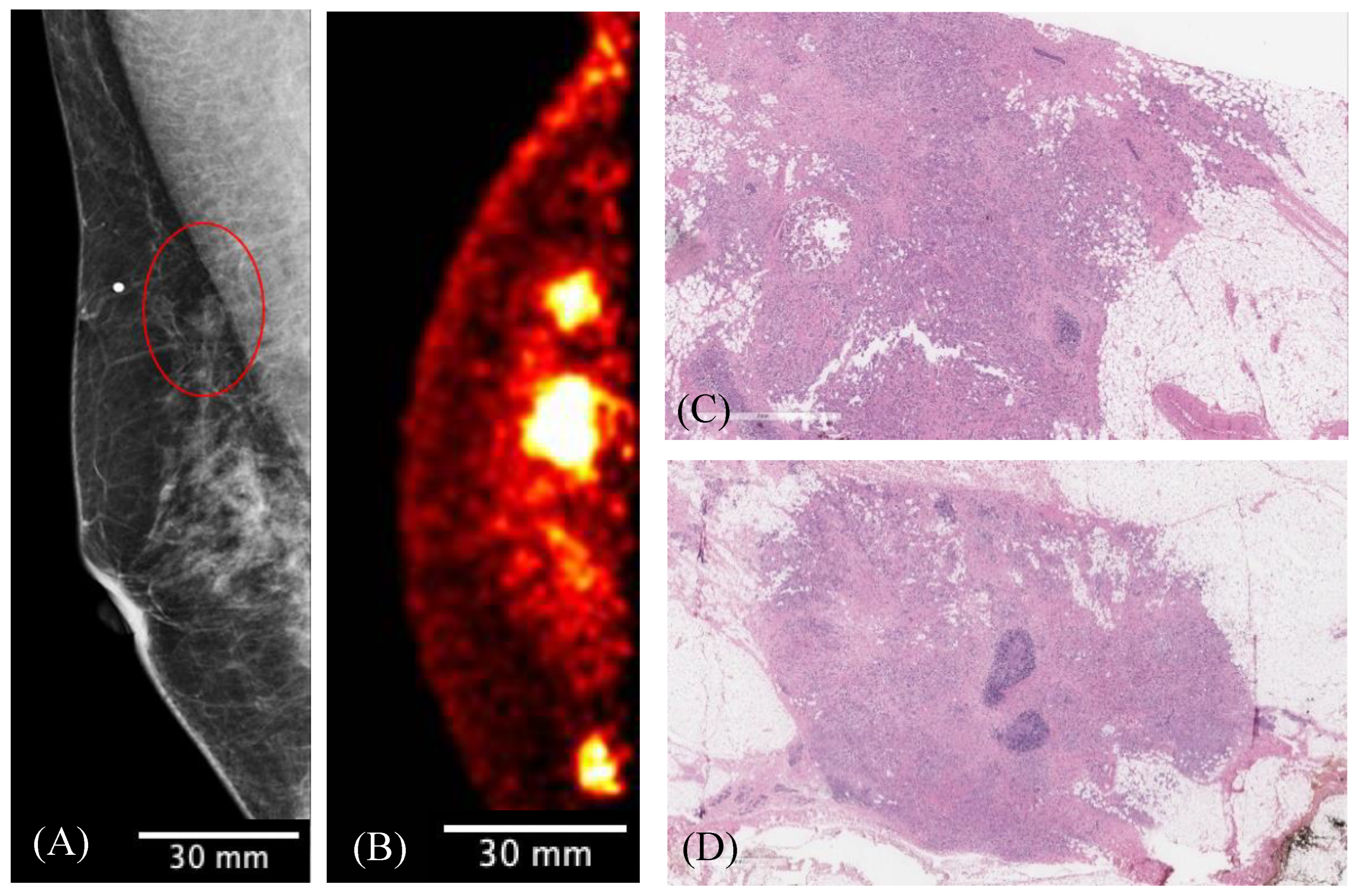 Sensors 22 04678 g012 Sensors 22 04678 g012