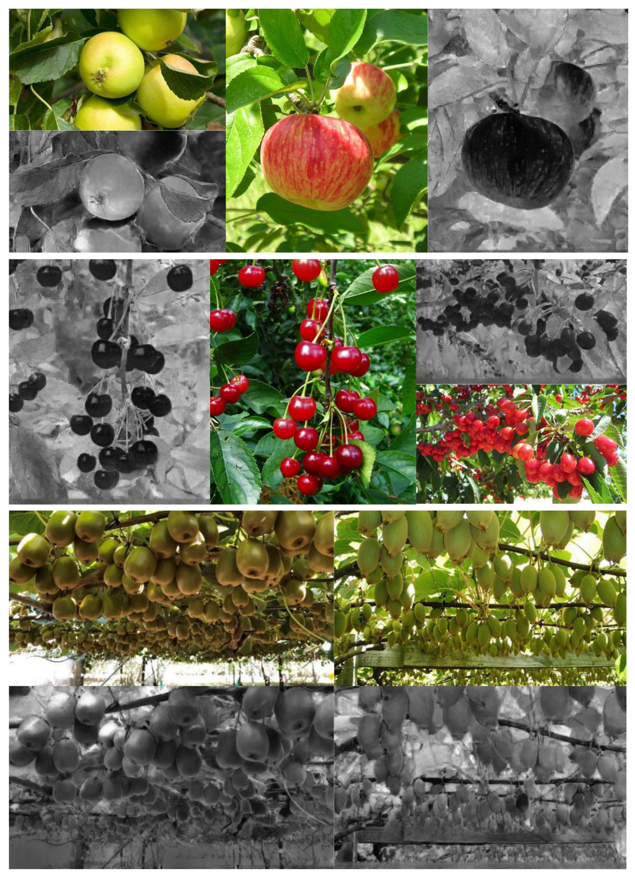 Sensors 22 04721 g016