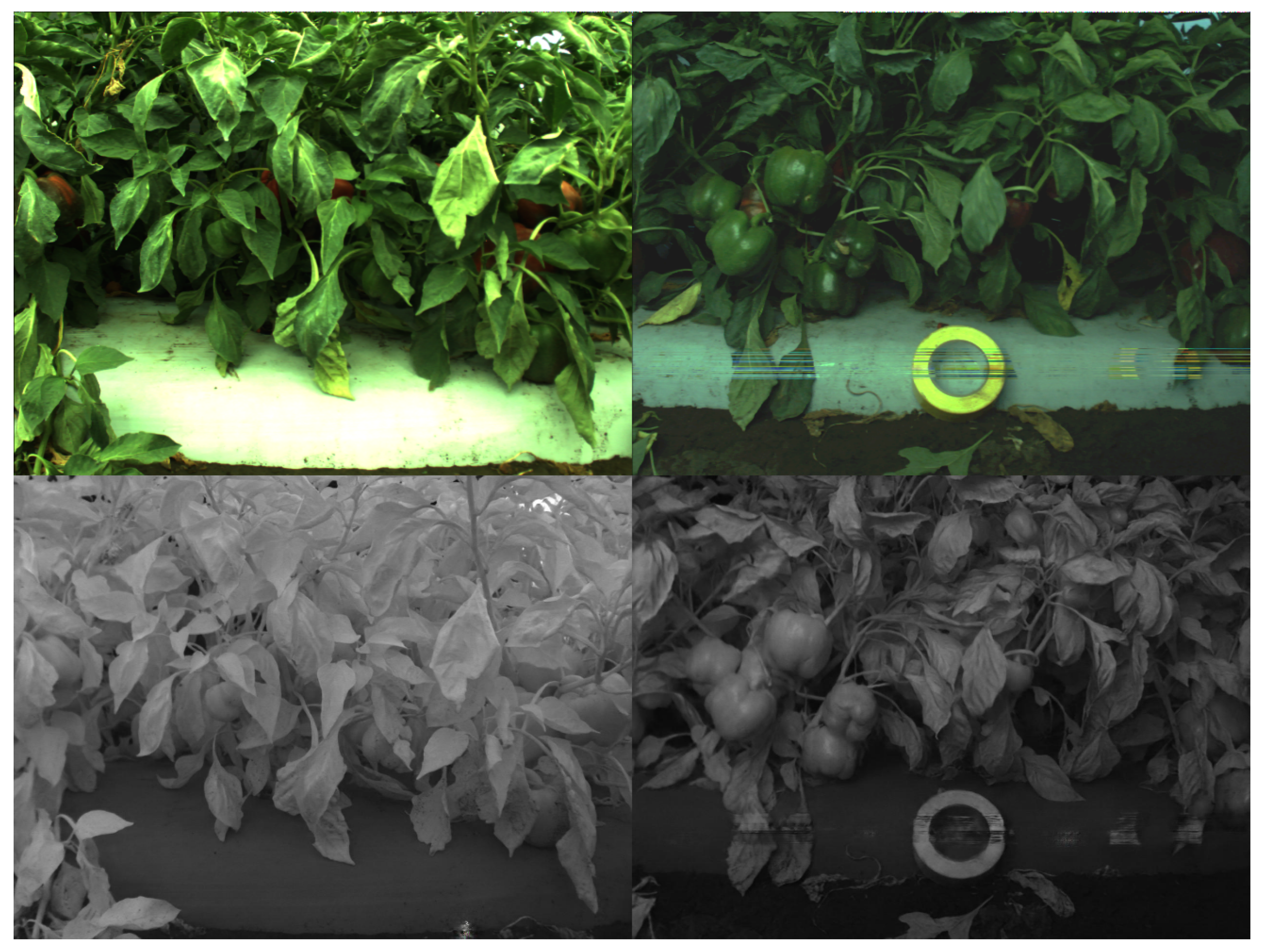 Sensors 22 04721 g017