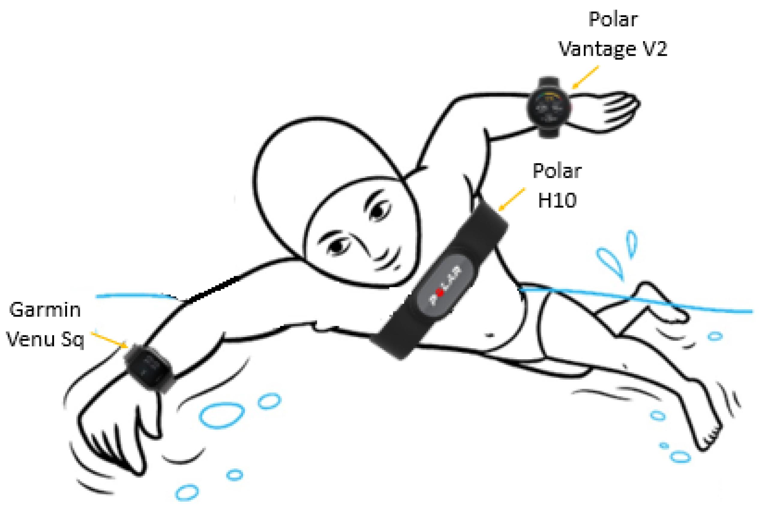 Polar H10 Scientific Review: Best for Heart Rate (99.6% Accurate