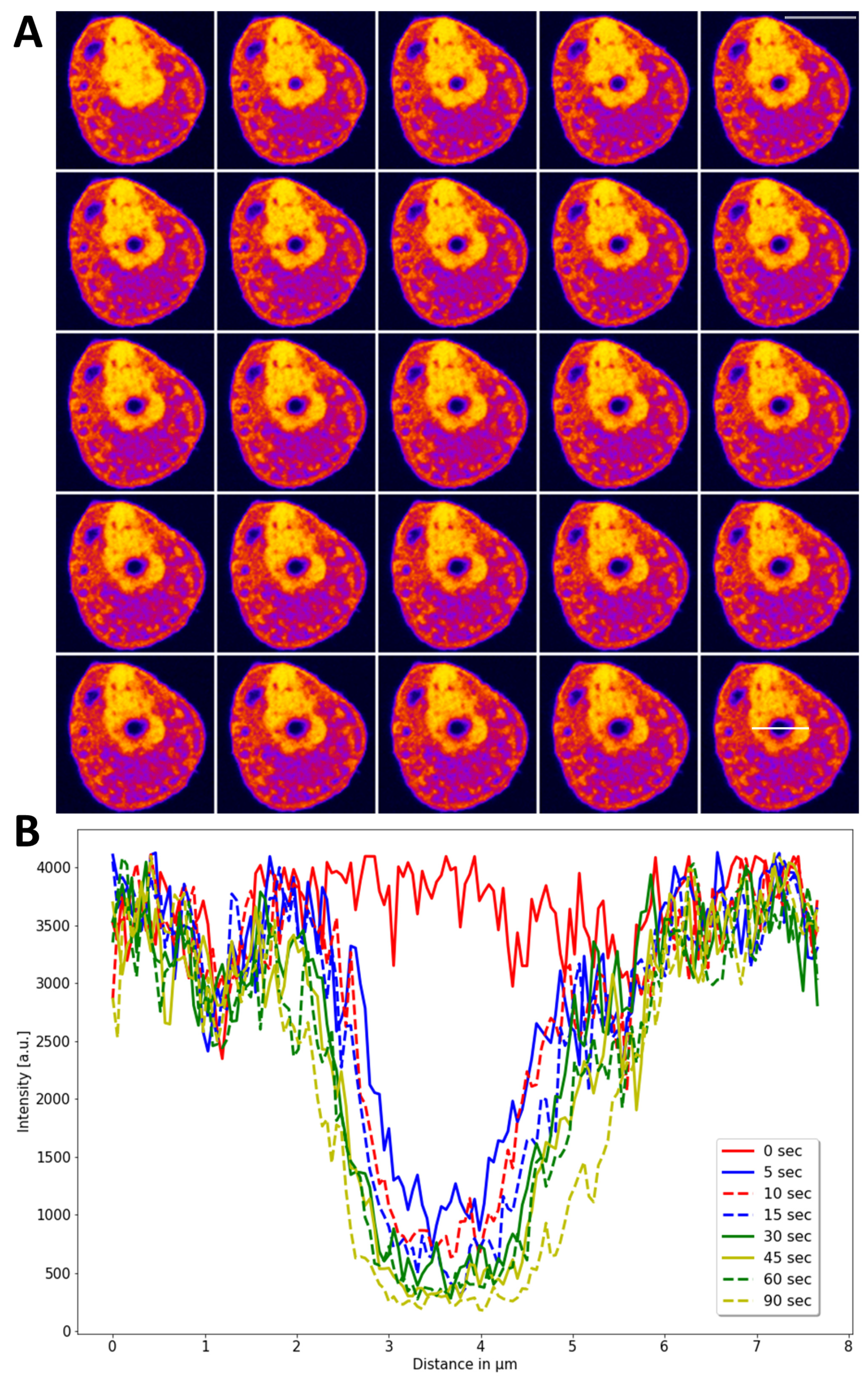 Sensors 22 04731 g0a3 Sensors 22 04731 g0a3