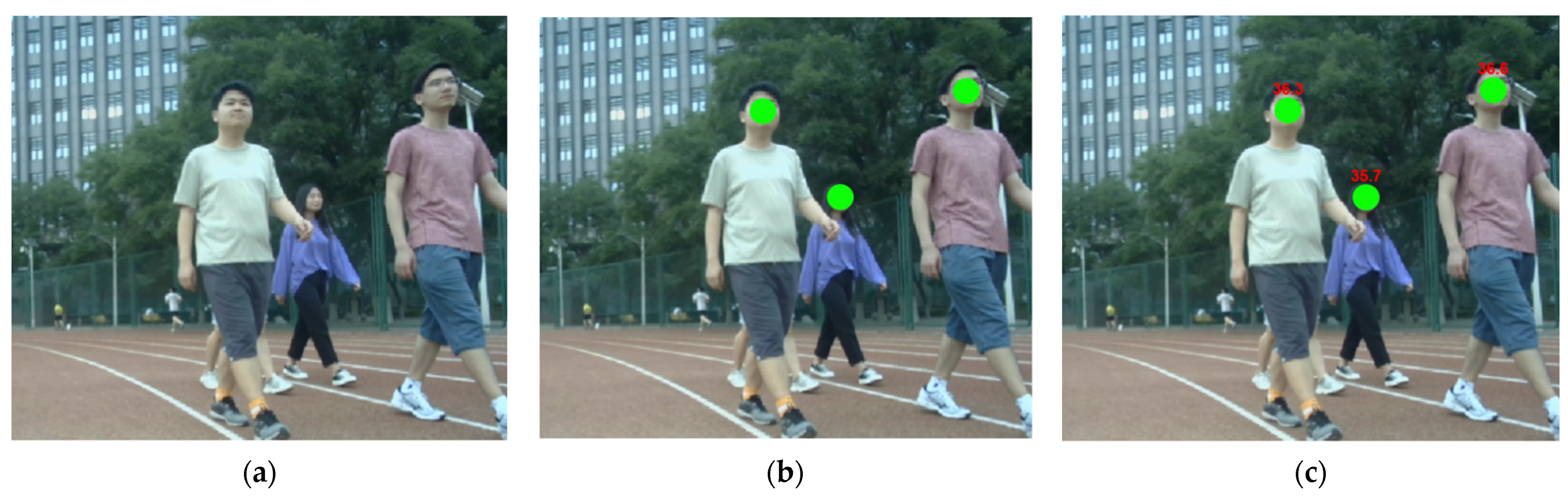 Sensors 22 04807 g016