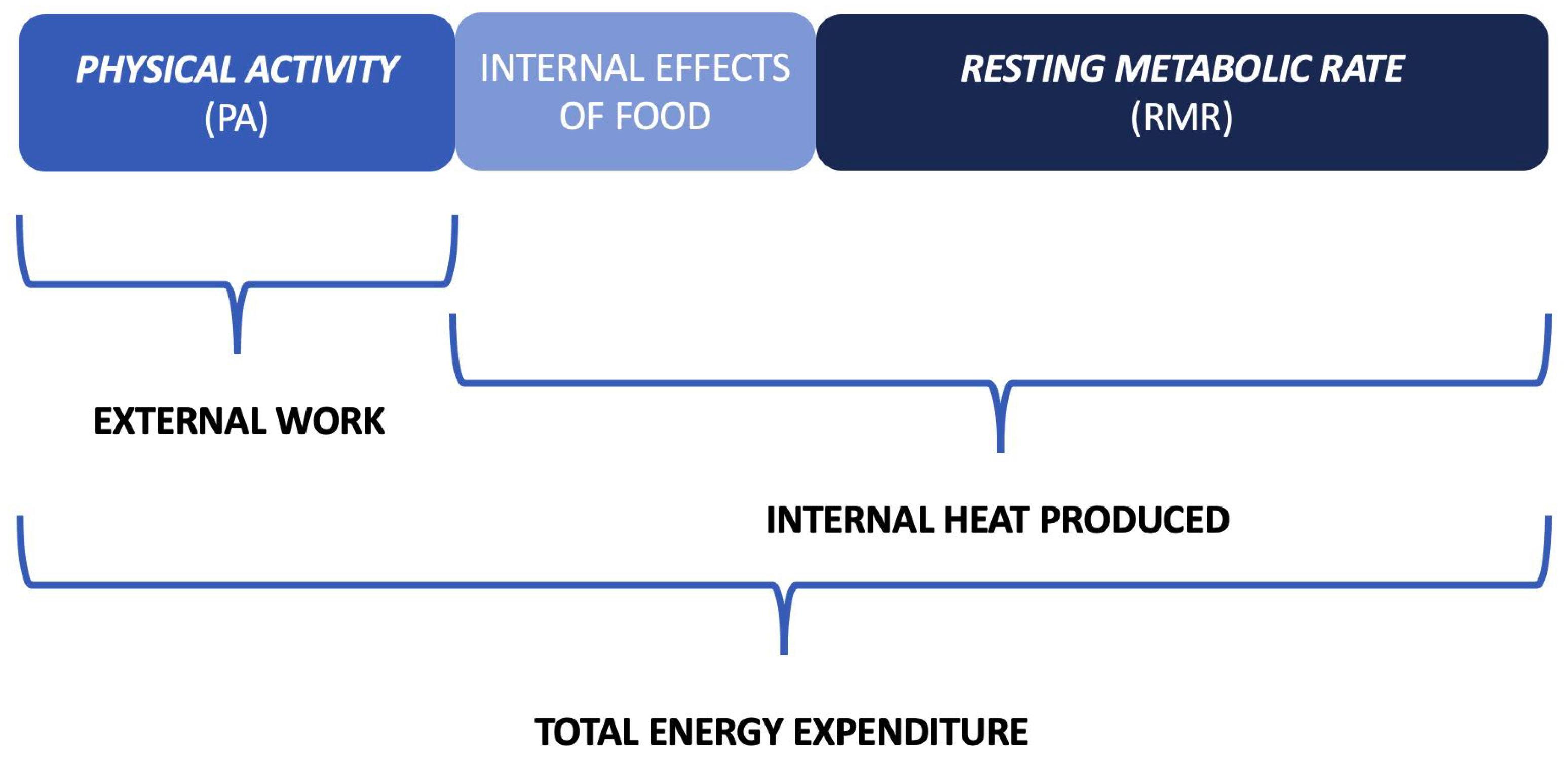 Sensors 22 04893 g008