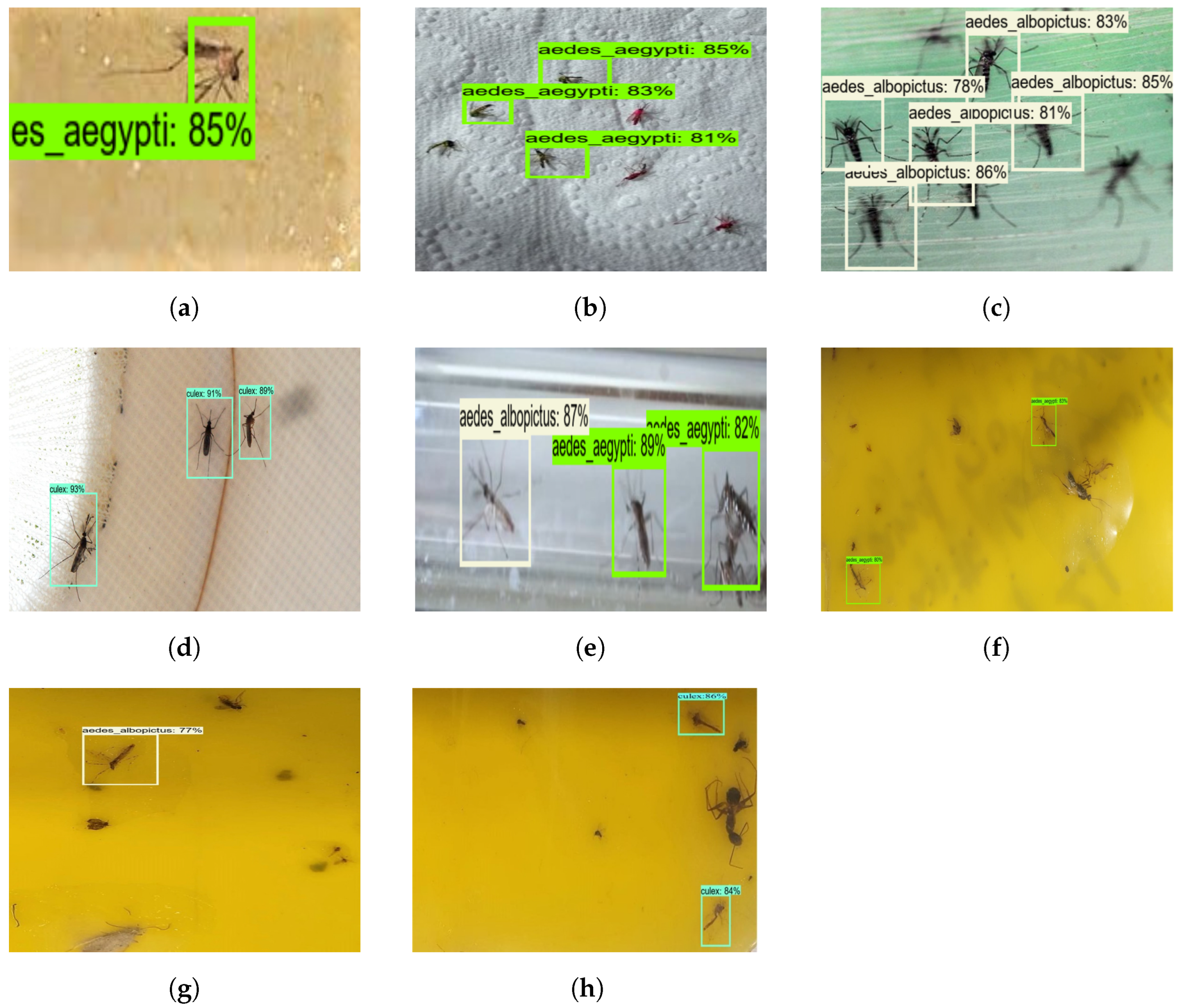 Sensors 22 04921 g007 550