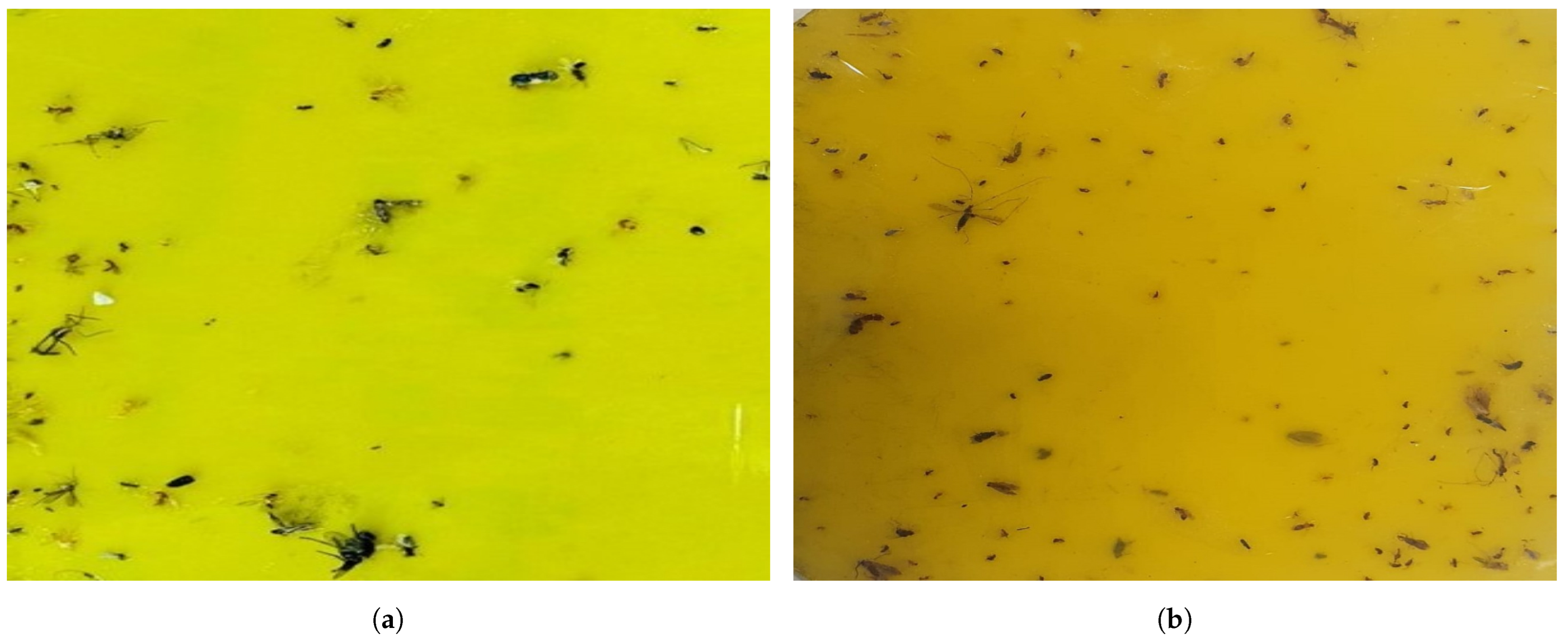 Sensors 22 04921 g009 550