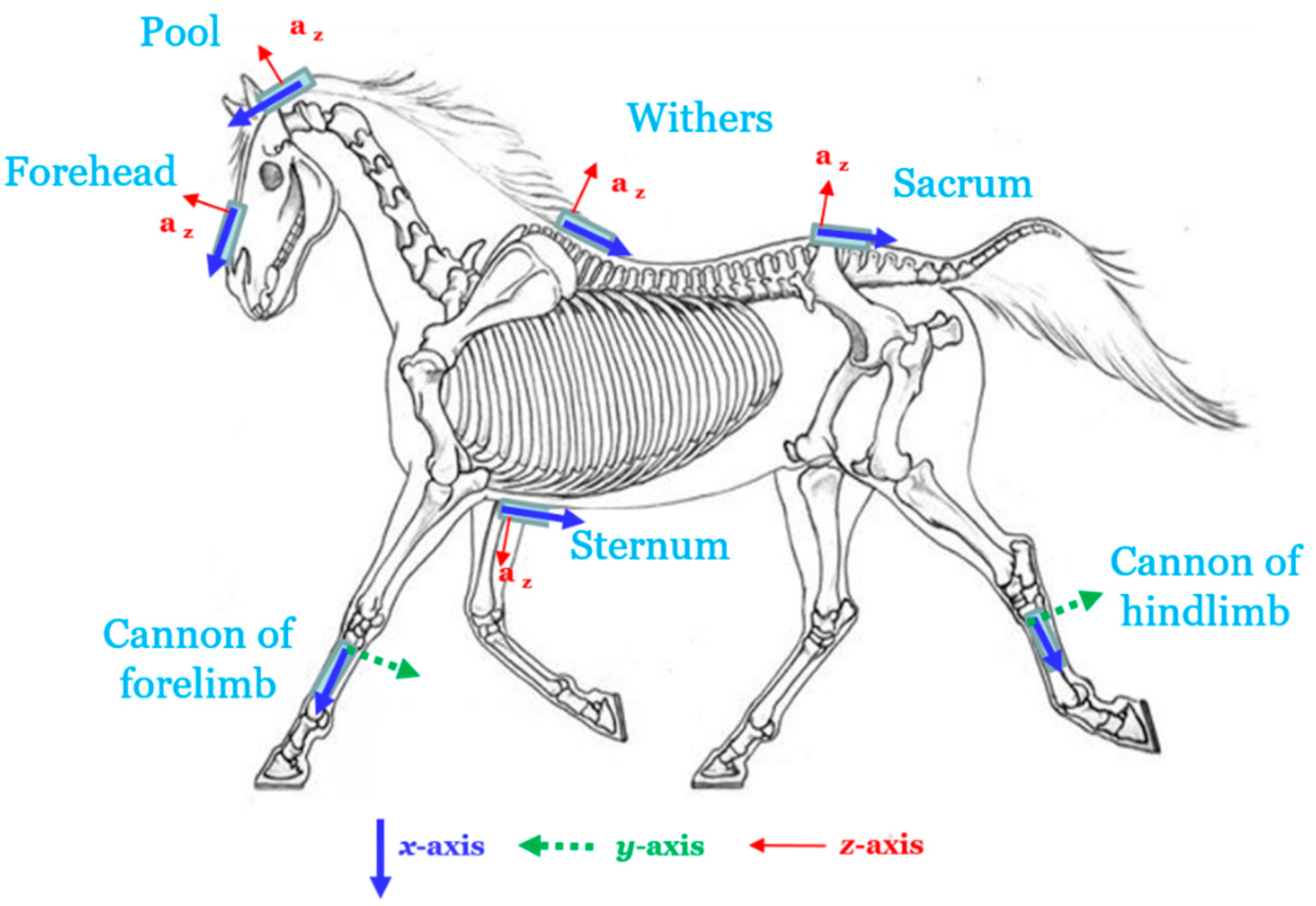 Sensors 22 04981 g001 Sensors 22 04981 g001