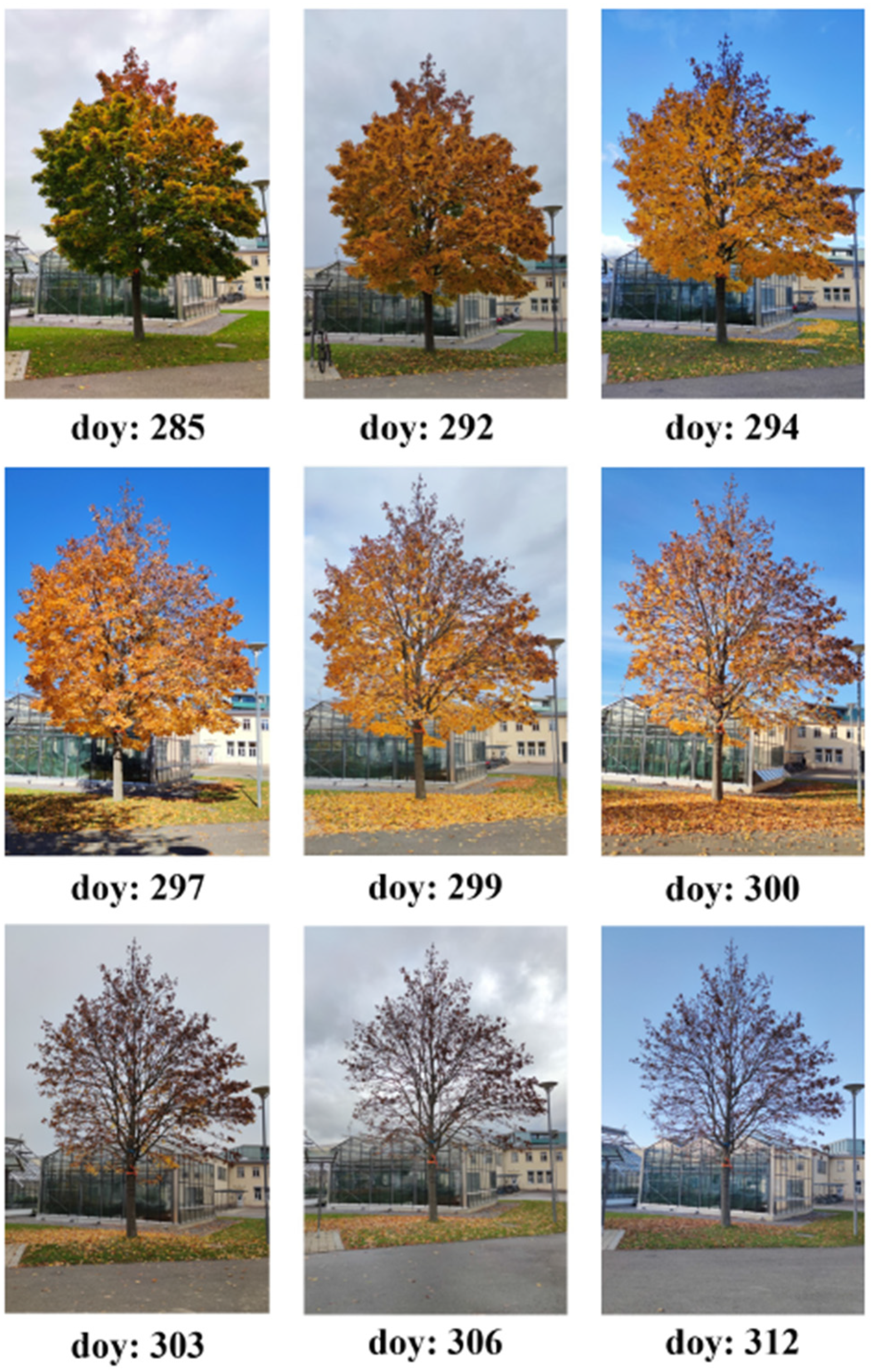 Sensors 22 05048 g013 550