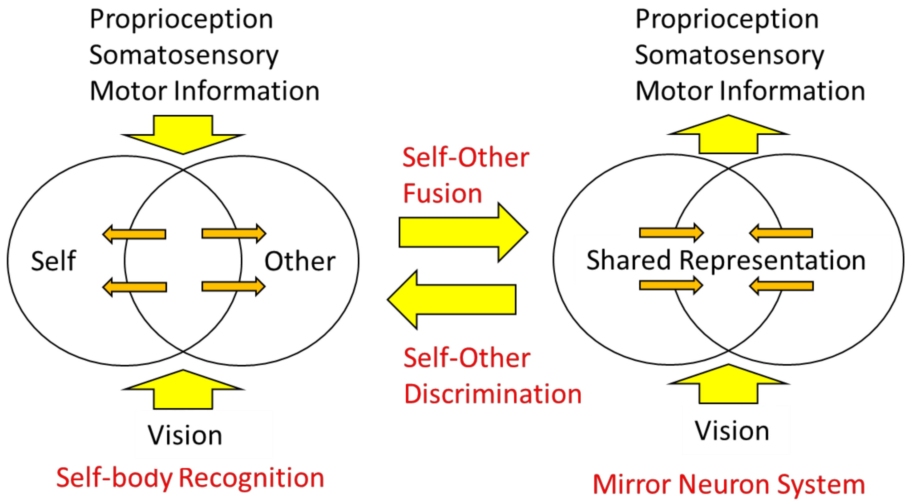 Sensors 22 05059 g008 Sensors 22 05059 g008