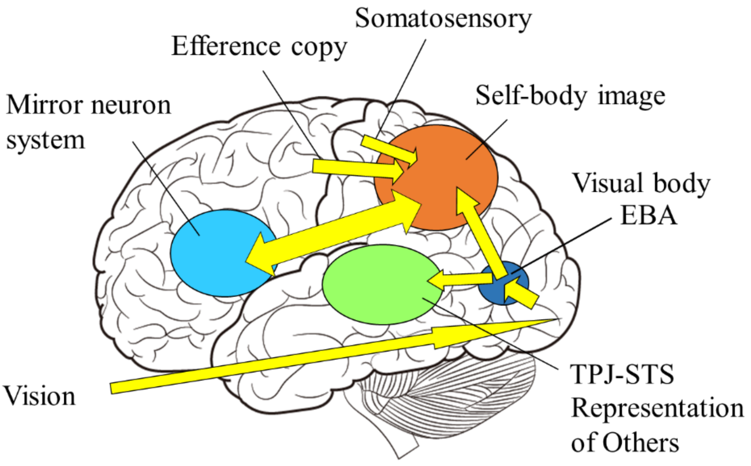 Sensors 22 05059 g009 Sensors 22 05059 g009