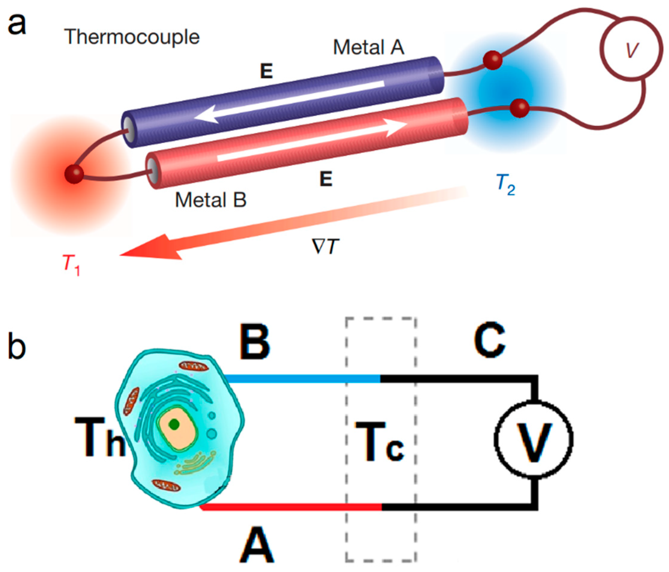 Sensors 22 05093 g003 550